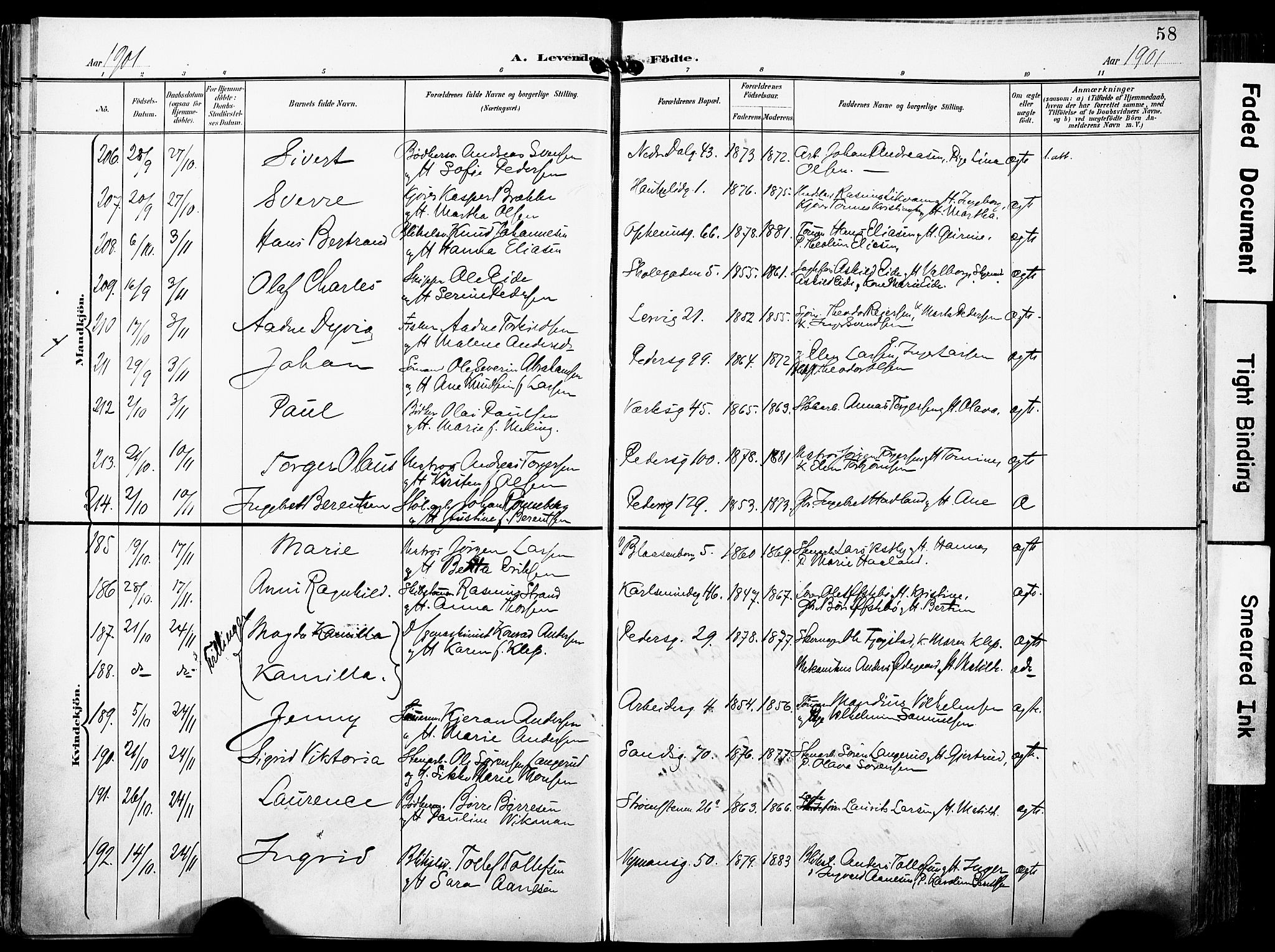 St. Johannes sokneprestkontor, AV/SAST-A-101814/001/30/30BA/L0007: Parish register (official) no. A 7, 1900-1910, p. 58