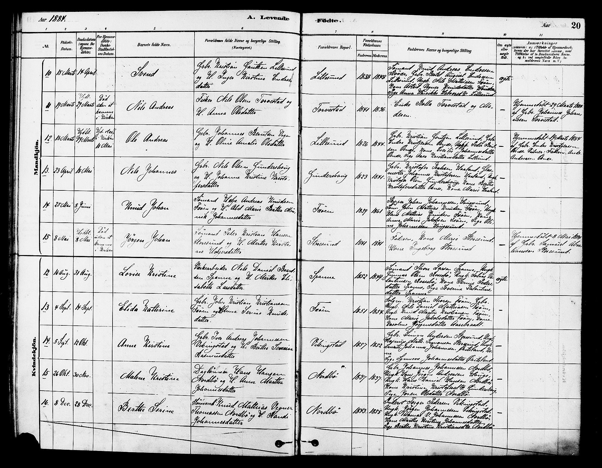 Torvastad sokneprestkontor, AV/SAST-A -101857/H/Ha/Haa/L0014: Parish register (official) no. A 13, 1879-1888, p. 20