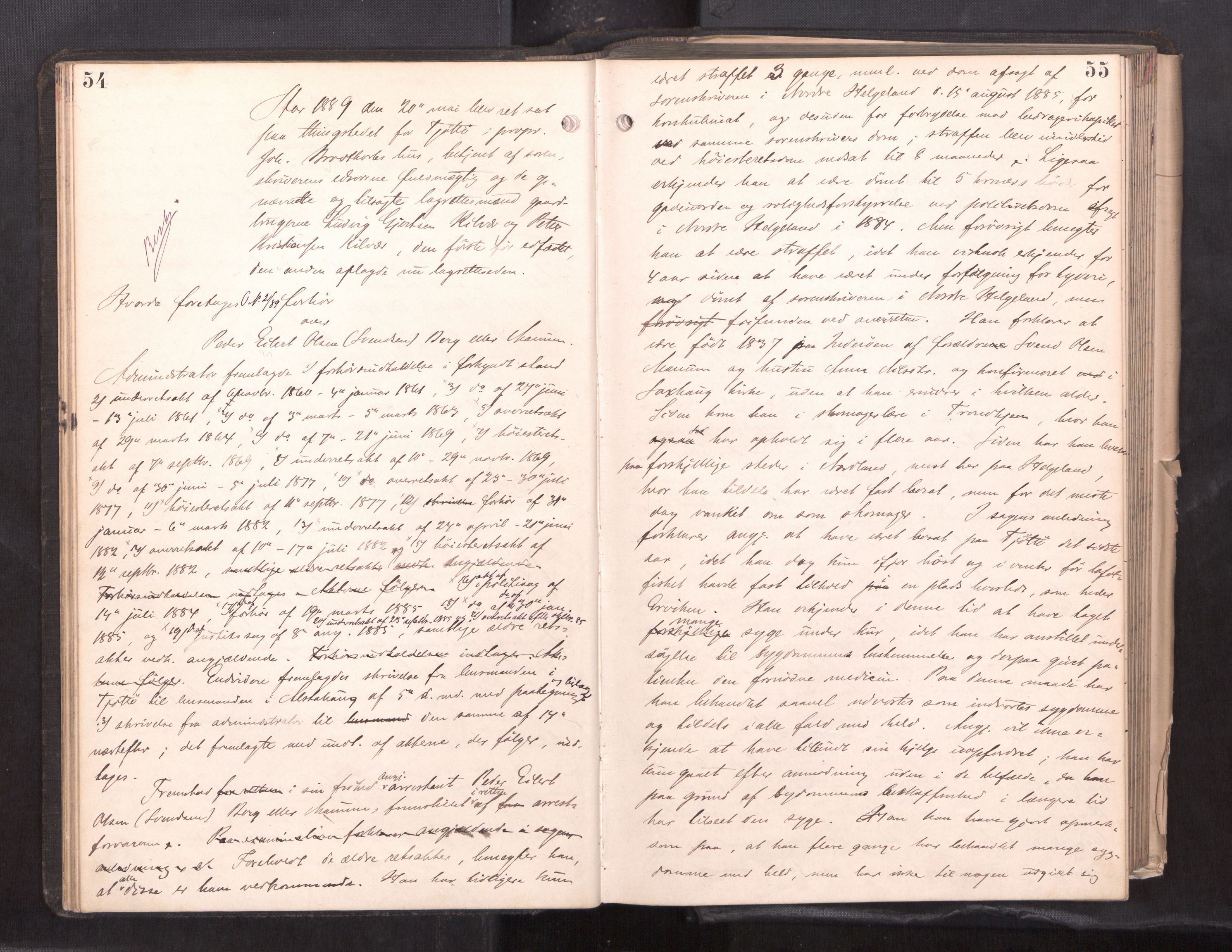 Søndre Helgeland sorenskriveri, AV/SAT-A-4575/1/1/1B/1Ba/L0018: ekstrarettsprotokoll, 1889-1893, p. 54-55