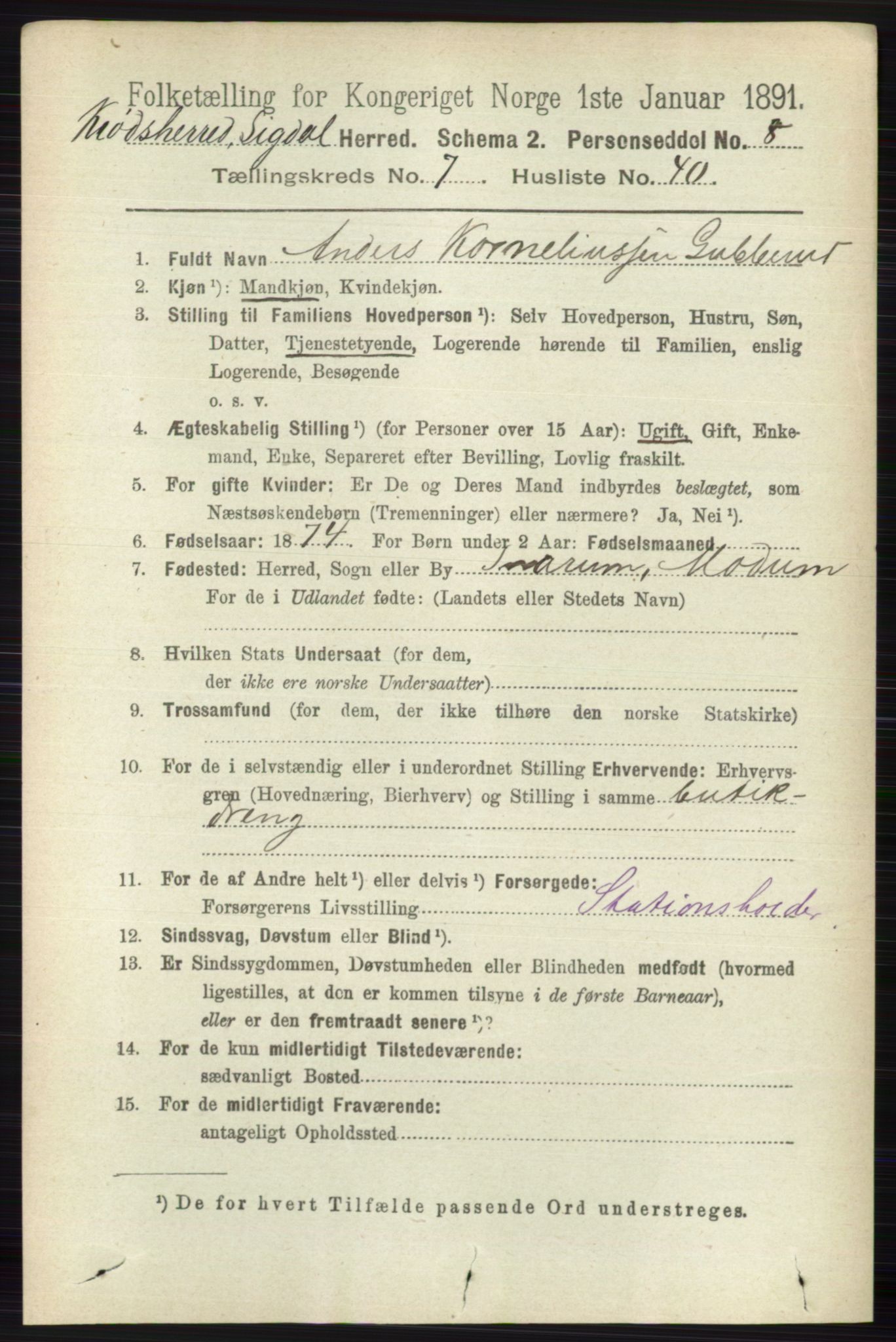 RA, 1891 census for 0621 Sigdal, 1891, p. 7263