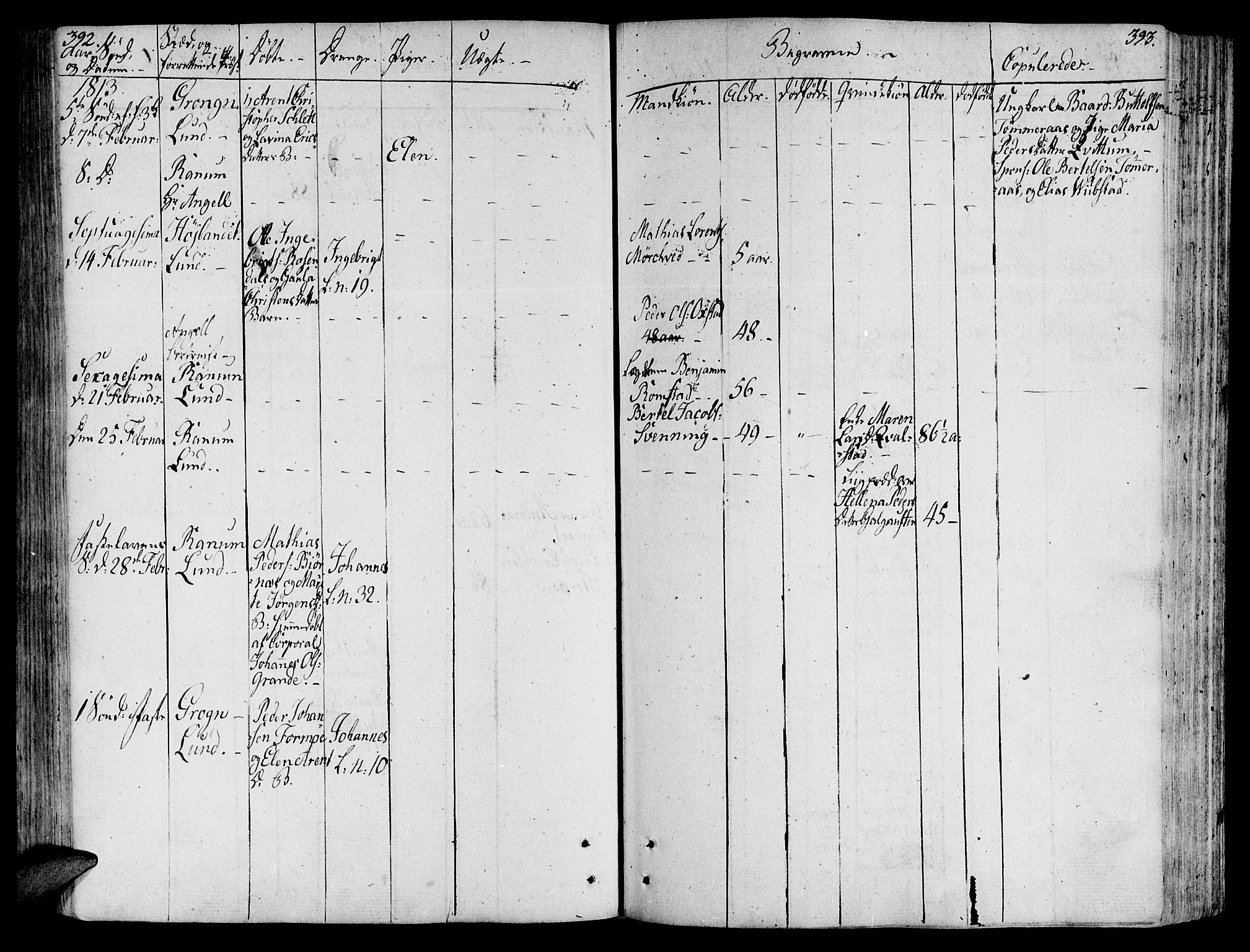 Ministerialprotokoller, klokkerbøker og fødselsregistre - Nord-Trøndelag, SAT/A-1458/764/L0545: Parish register (official) no. 764A05, 1799-1816, p. 392-393