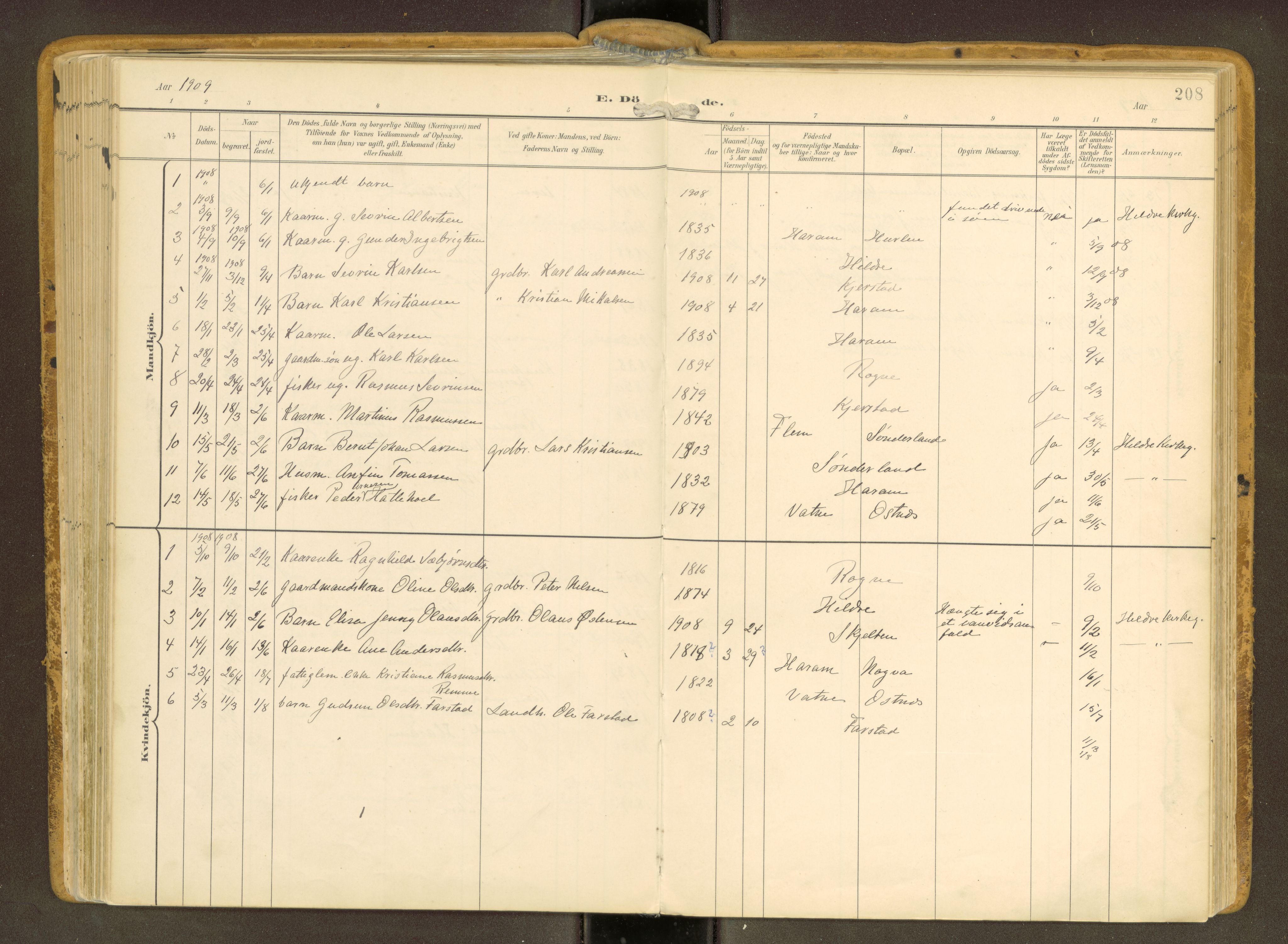 Ministerialprotokoller, klokkerbøker og fødselsregistre - Møre og Romsdal, SAT/A-1454/536/L0517: Parish register (official) no. 536A--, 1897-1917, p. 208