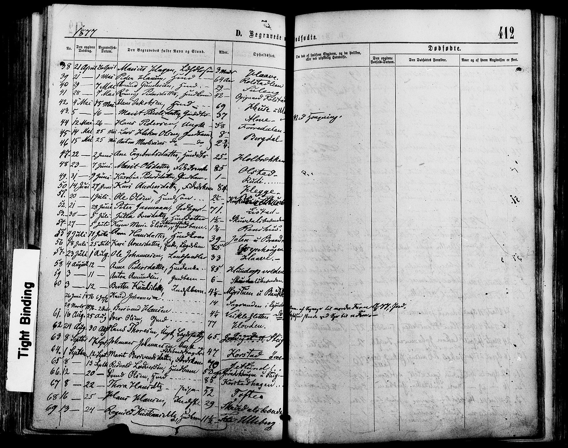 Sør-Fron prestekontor, SAH/PREST-010/H/Ha/Haa/L0002: Parish register (official) no. 2, 1864-1880, p. 412