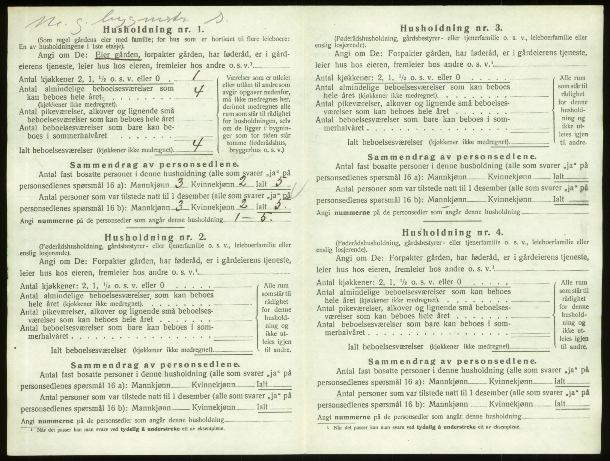 SAO, 1920 census for Skjeberg, 1920, p. 906