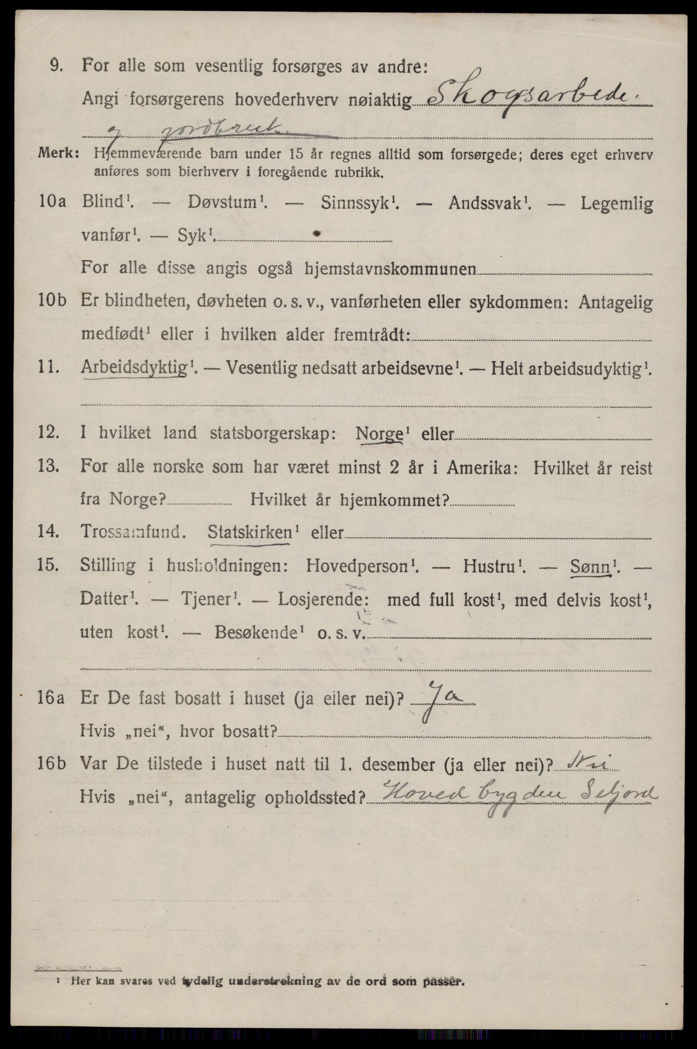 SAKO, 1920 census for Seljord, 1920, p. 2097