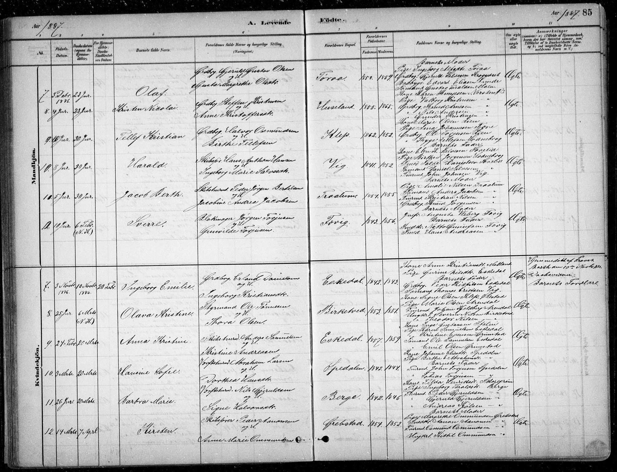 Fjære sokneprestkontor, AV/SAK-1111-0011/F/Fb/L0011: Parish register (copy) no. B 11, 1881-1905, p. 85