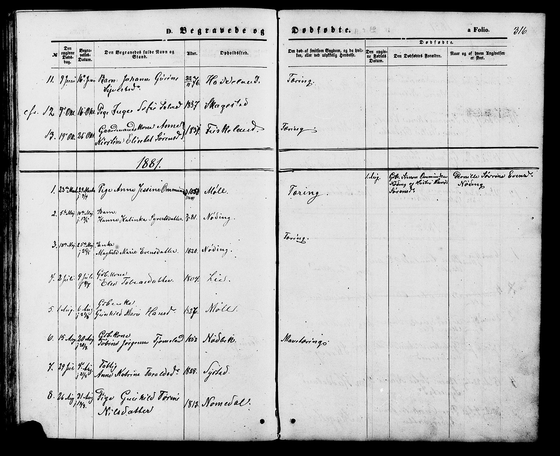 Holum sokneprestkontor, SAK/1111-0022/F/Fb/Fba/L0004: Parish register (copy) no. B 4, 1867-1890, p. 316