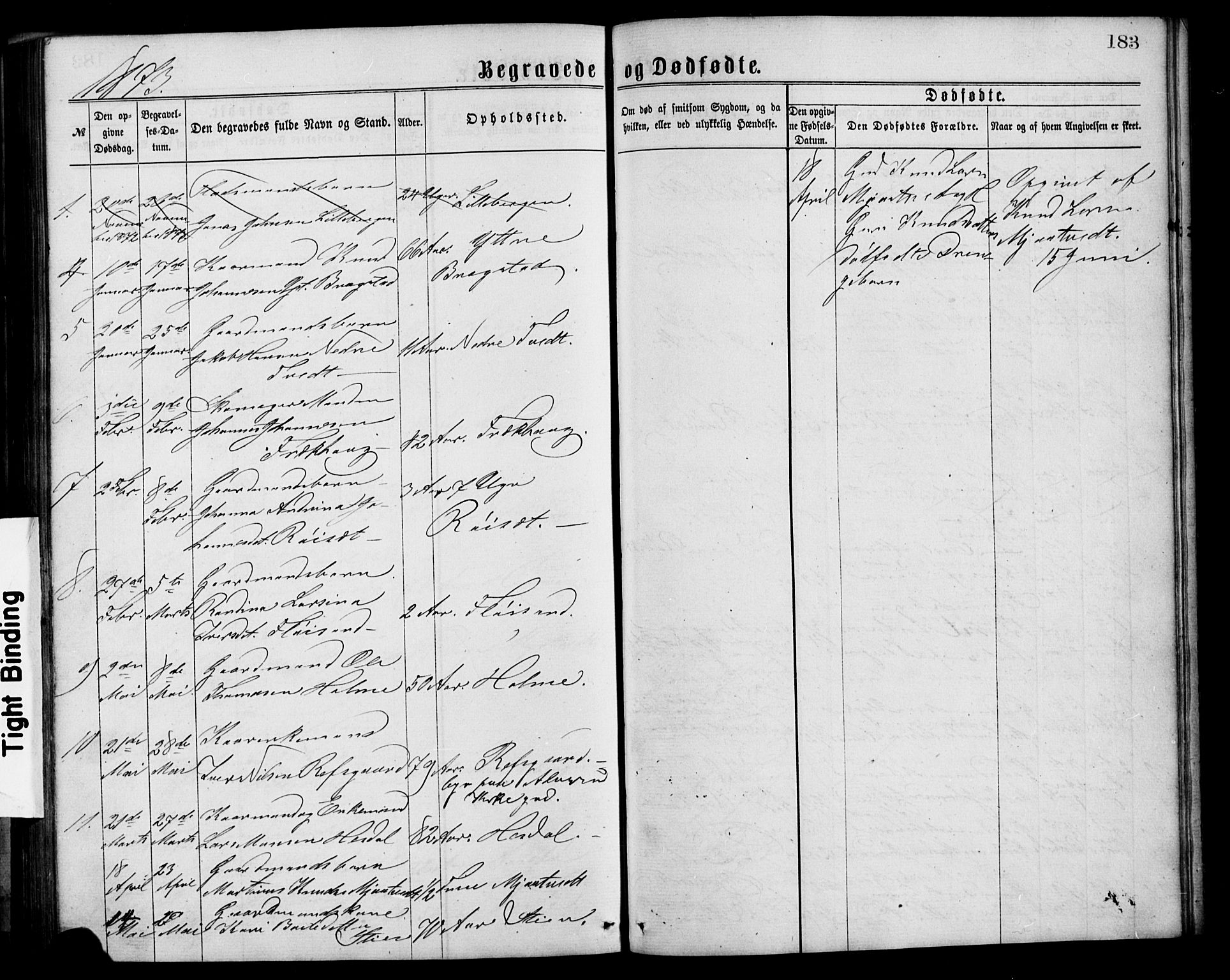 Alversund Sokneprestembete, SAB/A-73901/H/Ha/Hab: Parish register (copy) no. C 2, 1867-1880, p. 183