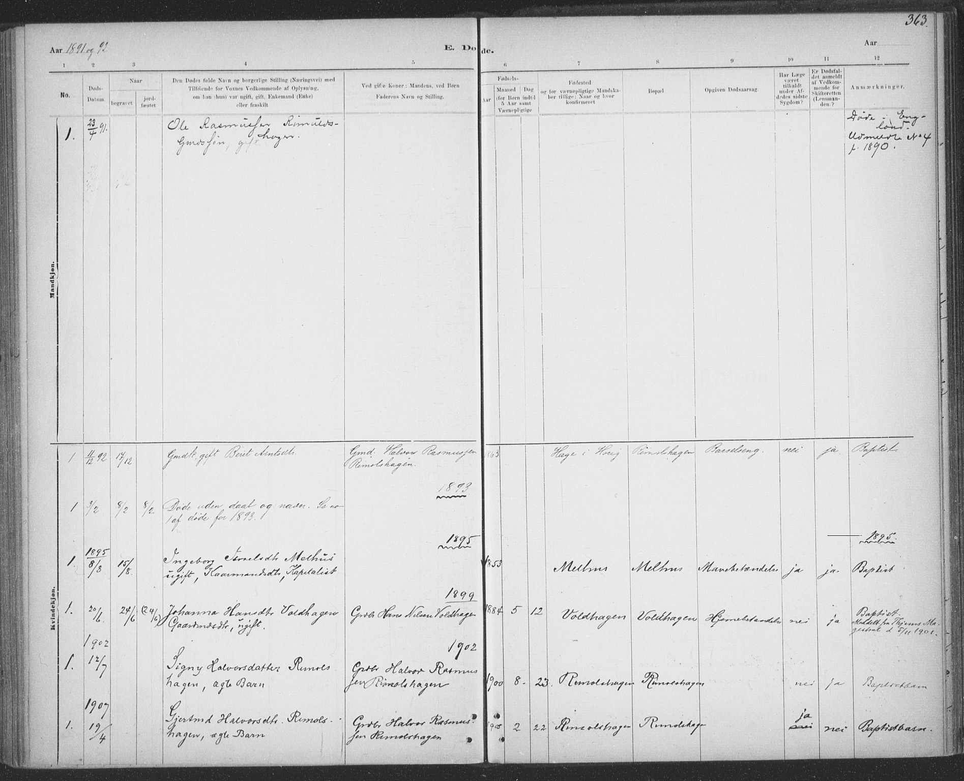 Ministerialprotokoller, klokkerbøker og fødselsregistre - Sør-Trøndelag, AV/SAT-A-1456/691/L1085: Parish register (official) no. 691A17, 1887-1908, p. 363