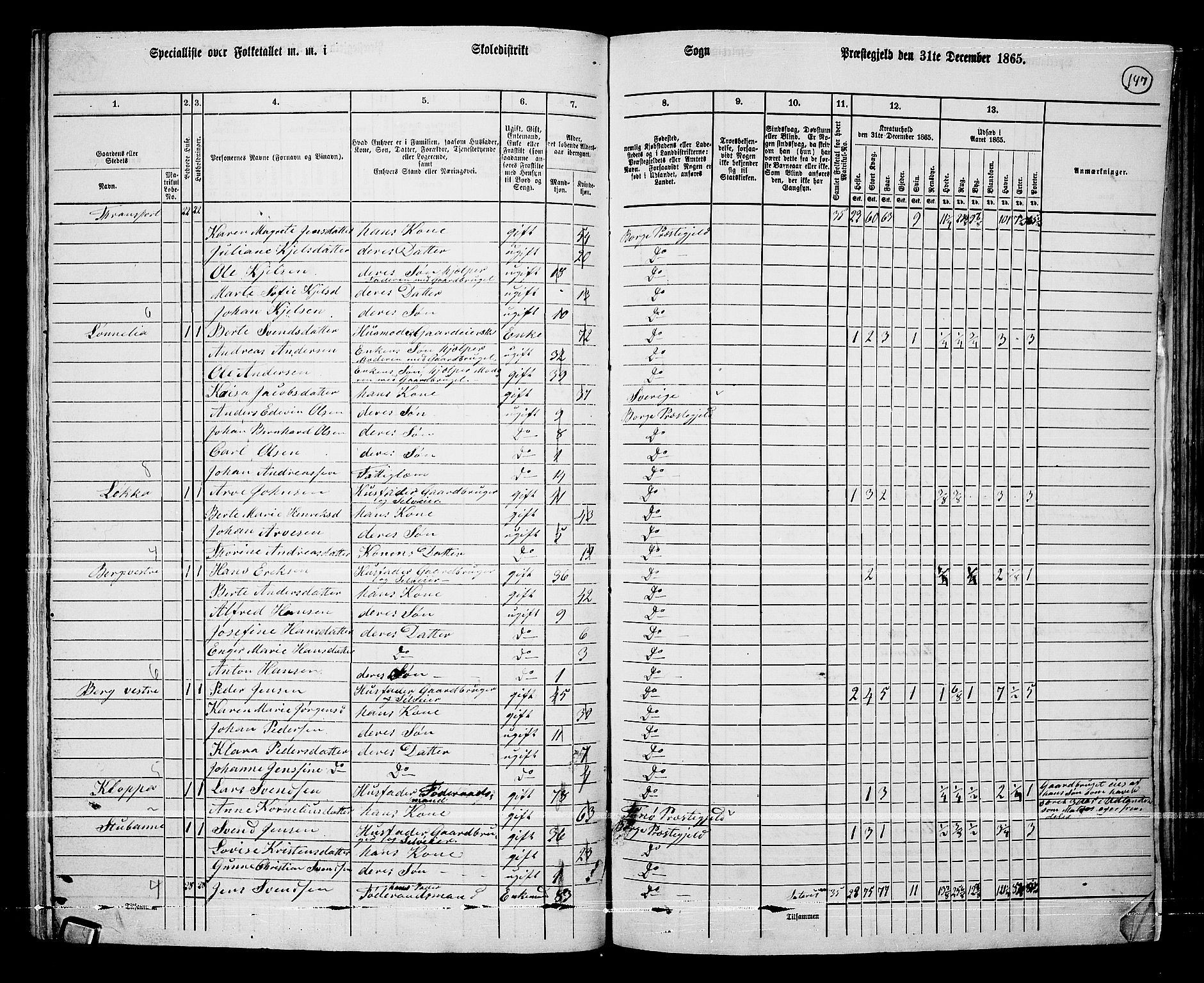 RA, 1865 census for Borge, 1865, p. 132