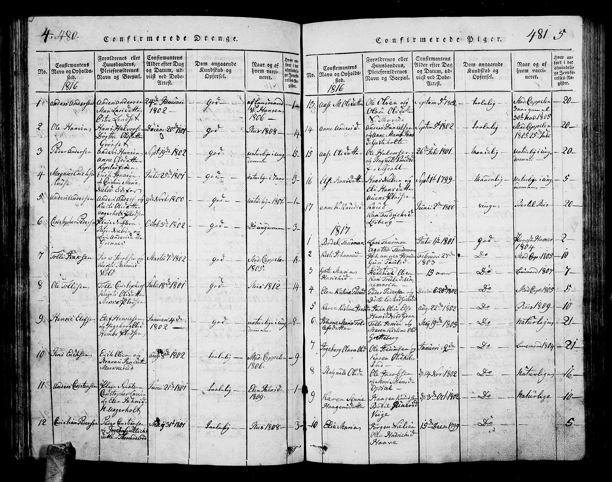 Hof kirkebøker, AV/SAKO-A-64/G/Ga/L0001: Parish register (copy) no. I 1, 1814-1844, p. 480-481