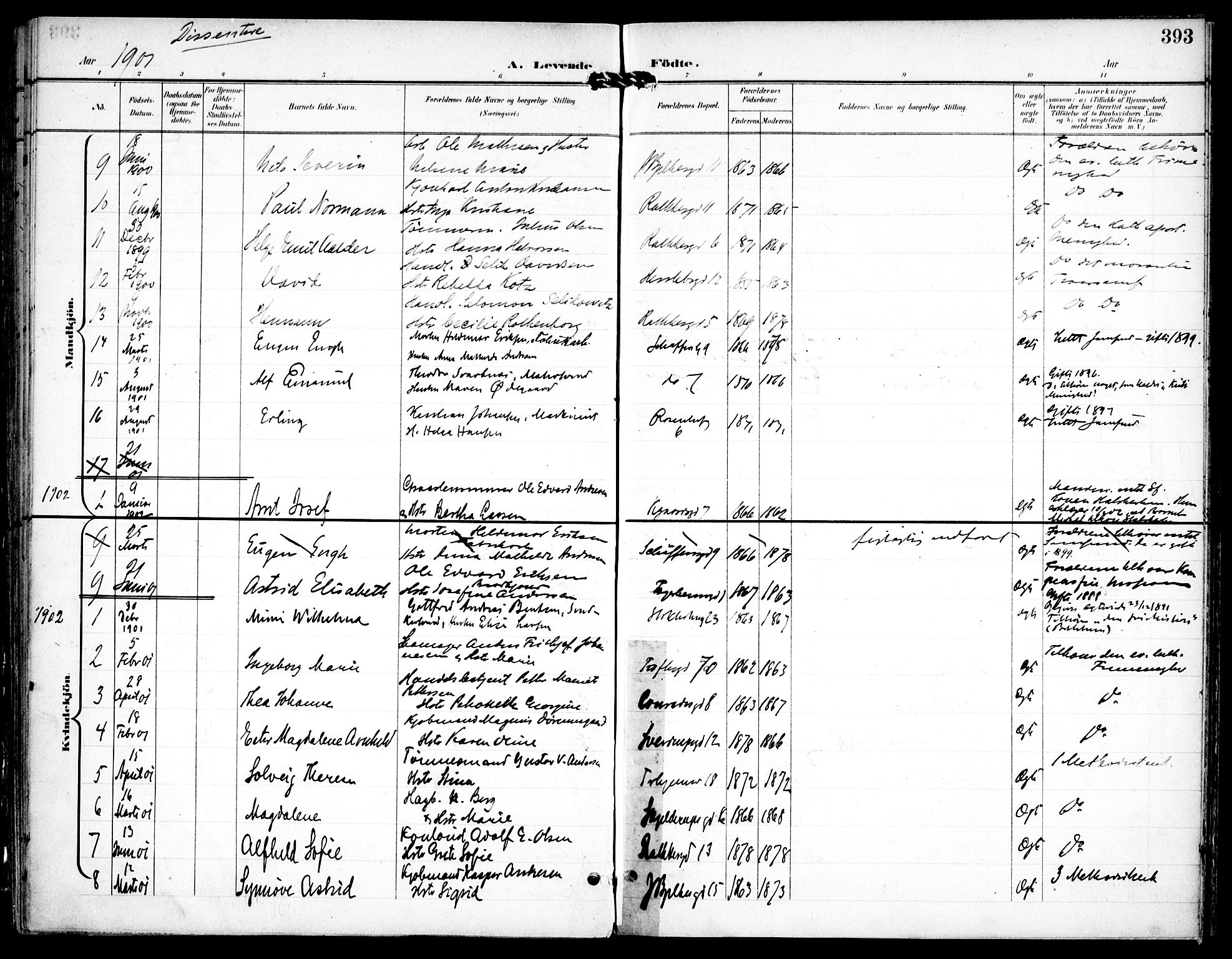 Petrus prestekontor Kirkebøker, AV/SAO-A-10872/F/Fa/L0008: Parish register (official) no. I 8, 1899-1909, p. 393