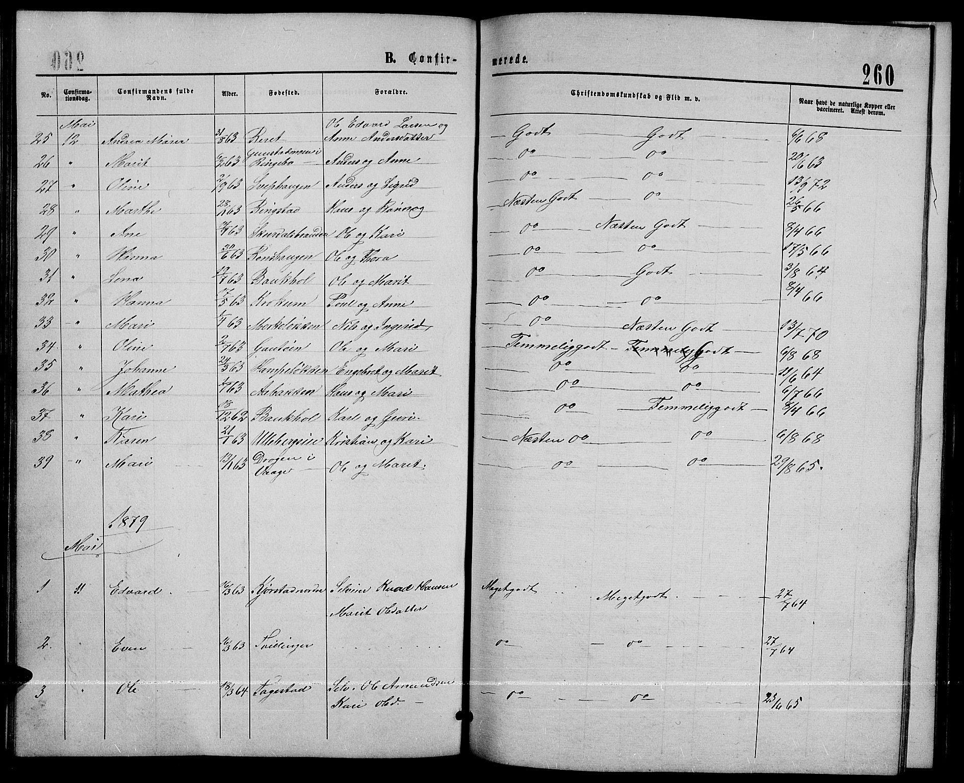 Sør-Fron prestekontor, SAH/PREST-010/H/Ha/Hab/L0002: Parish register (copy) no. 2, 1864-1883, p. 260