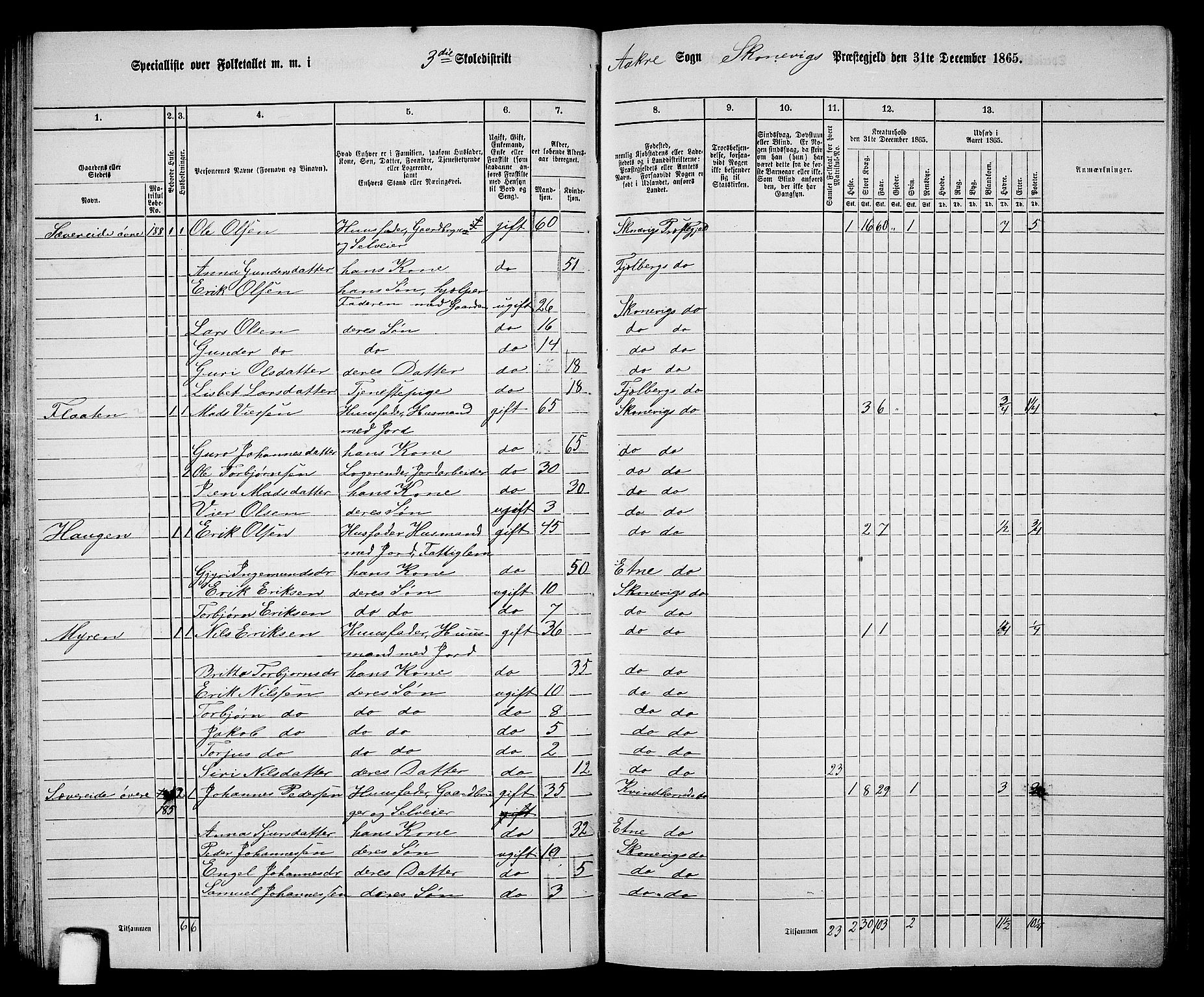 RA, 1865 census for Skånevik, 1865, p. 58