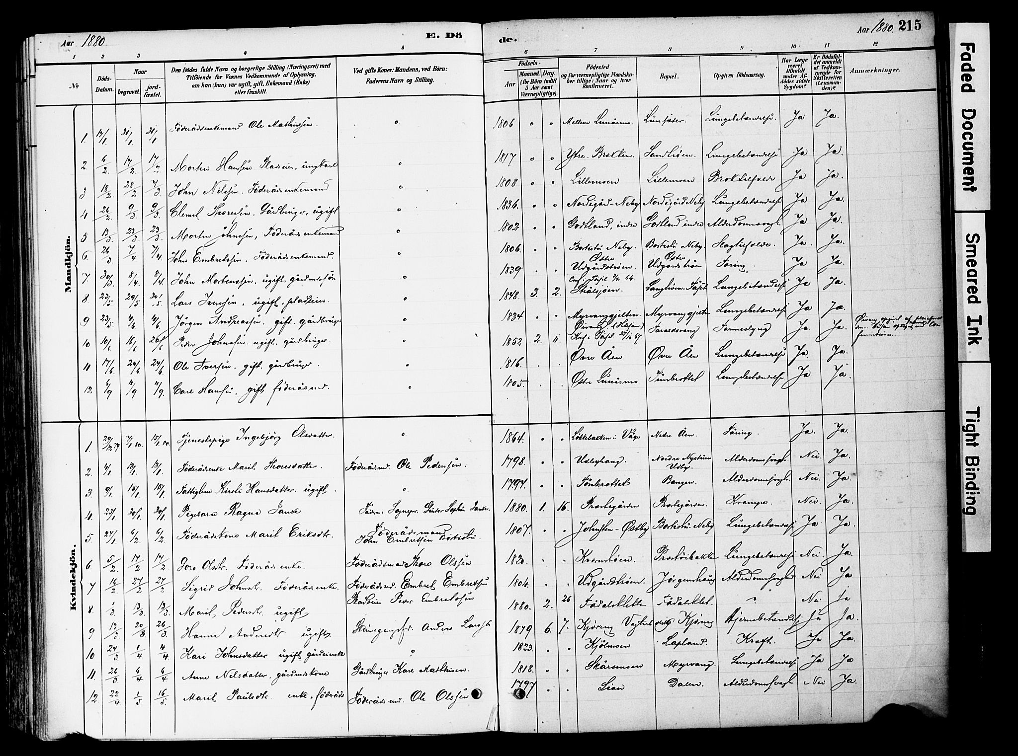 Tynset prestekontor, SAH/PREST-058/H/Ha/Haa/L0022: Parish register (official) no. 22, 1880-1899, p. 215