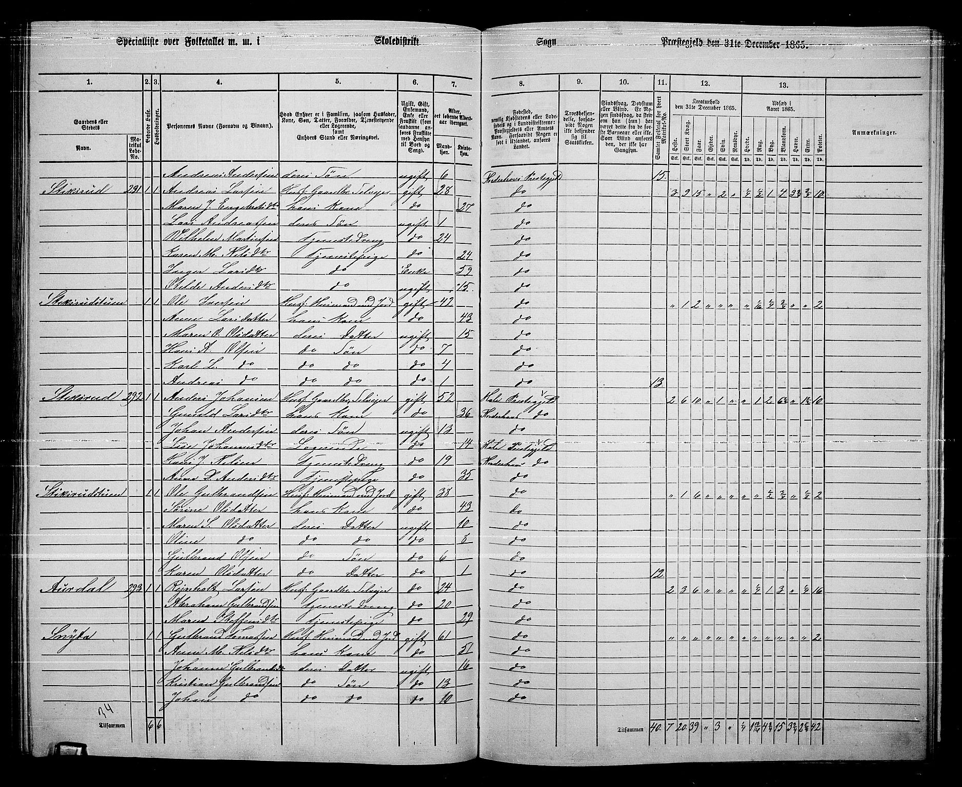 RA, 1865 census for Norderhov/Norderhov, Haug og Lunder, 1865, p. 251