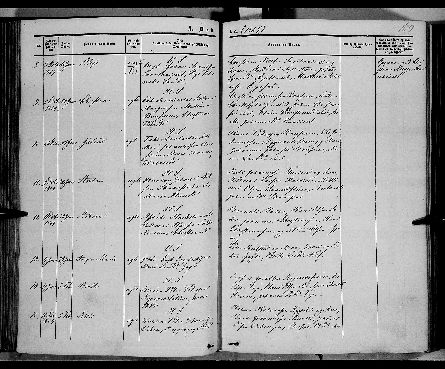 Vardal prestekontor, SAH/PREST-100/H/Ha/Haa/L0006: Parish register (official) no. 6, 1854-1866, p. 109