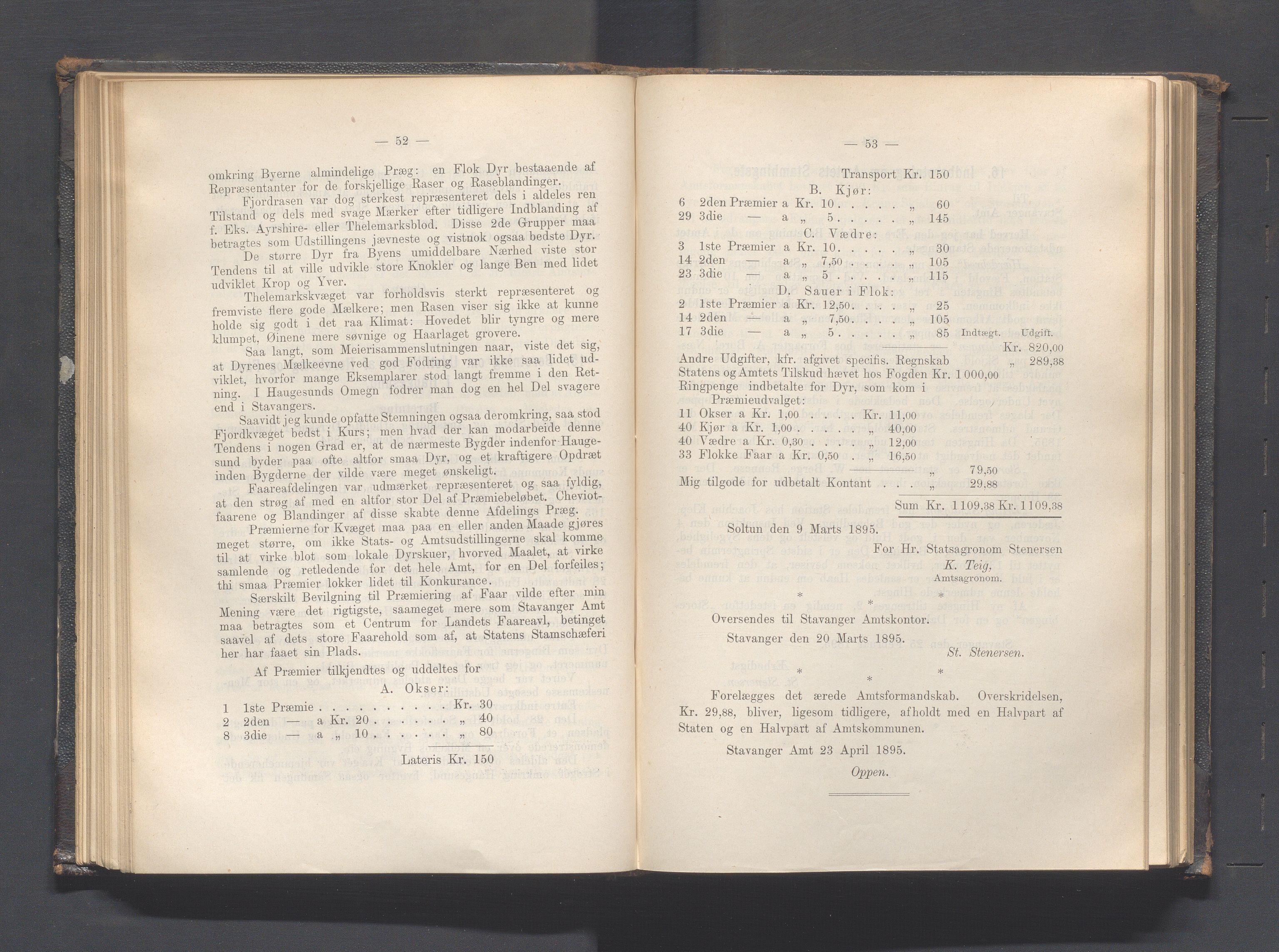 Rogaland fylkeskommune - Fylkesrådmannen , IKAR/A-900/A, 1895, p. 100