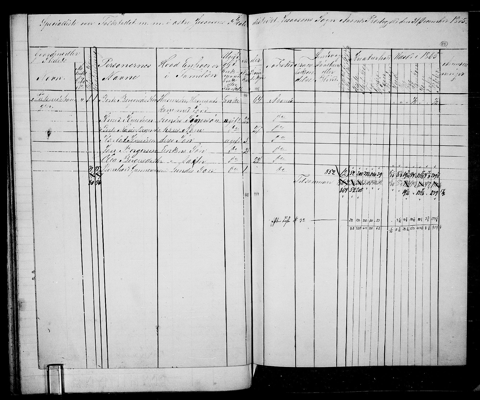 RA, 1865 census for Åsnes, 1865, p. 81