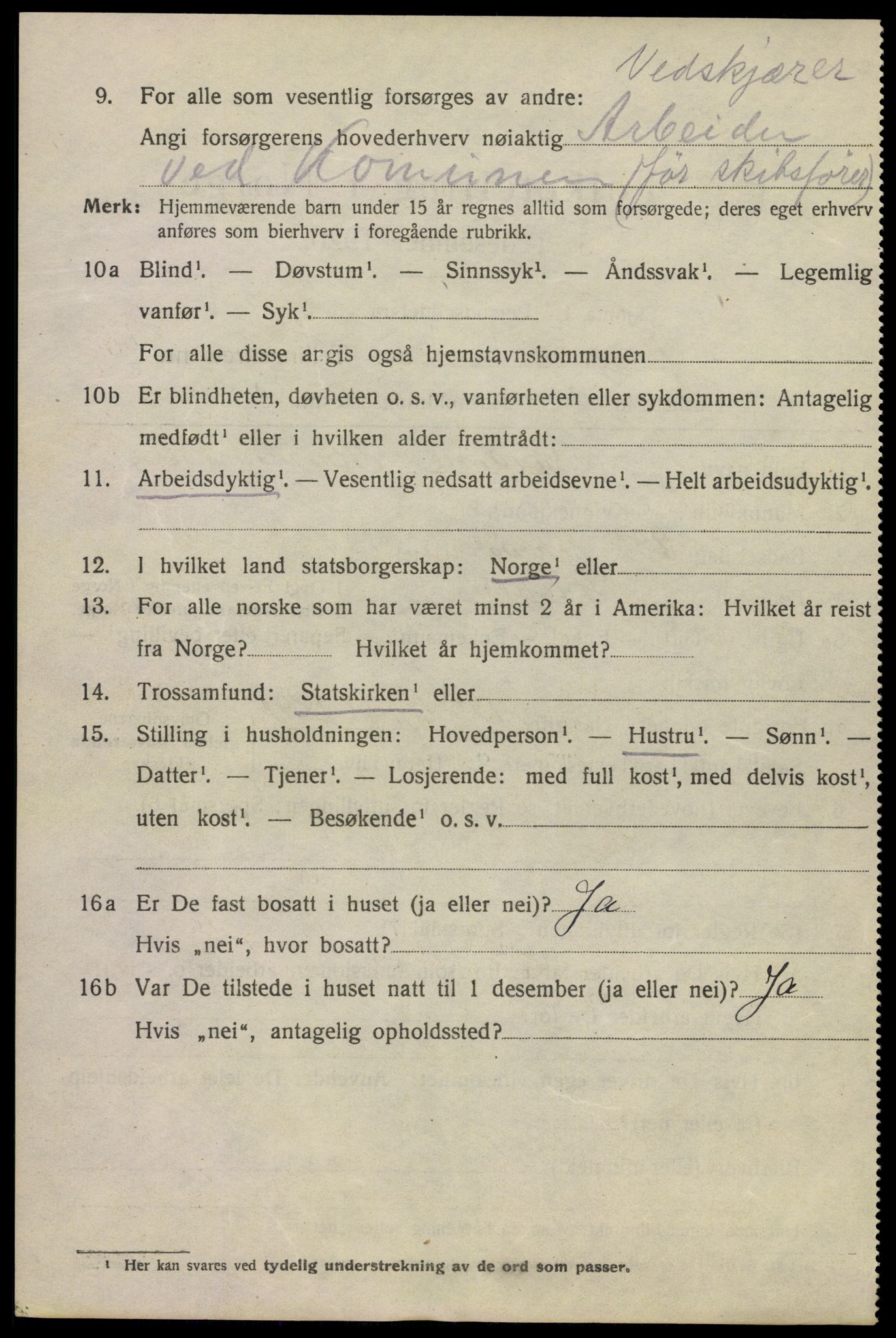 SAKO, 1920 census for Kragerø, 1920, p. 13110