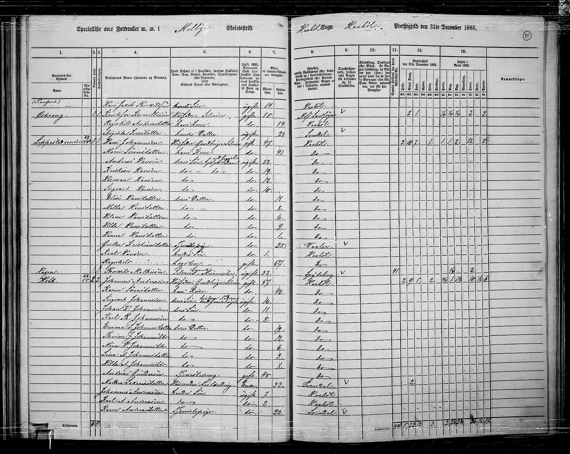 RA, 1865 census for Hobøl, 1865, p. 71