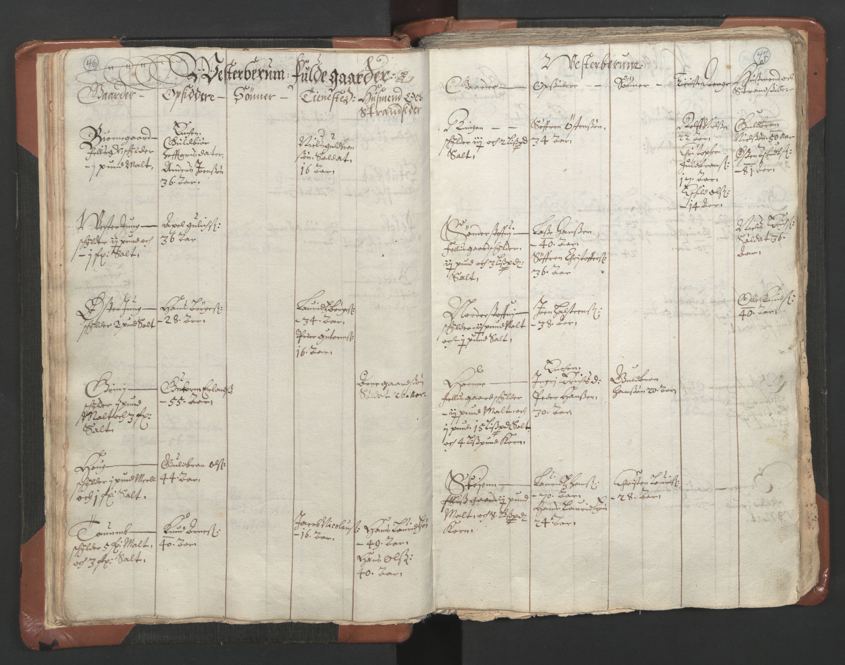 RA, Vicar's Census 1664-1666, no. 9: Bragernes deanery, 1664-1666, p. 46-47