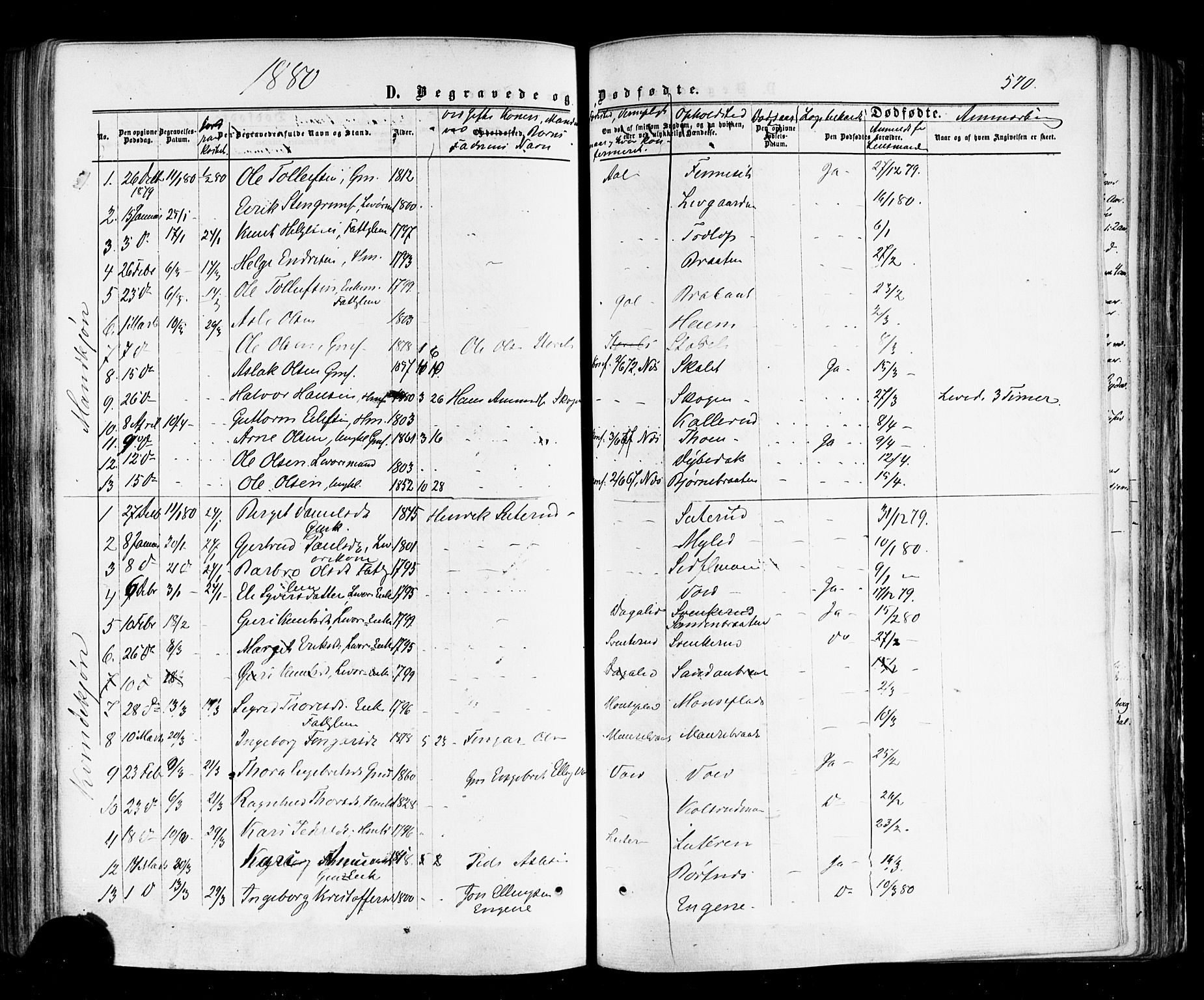 Nes kirkebøker, SAKO/A-236/F/Fa/L0010: Parish register (official) no. 10, 1864-1880, p. 570