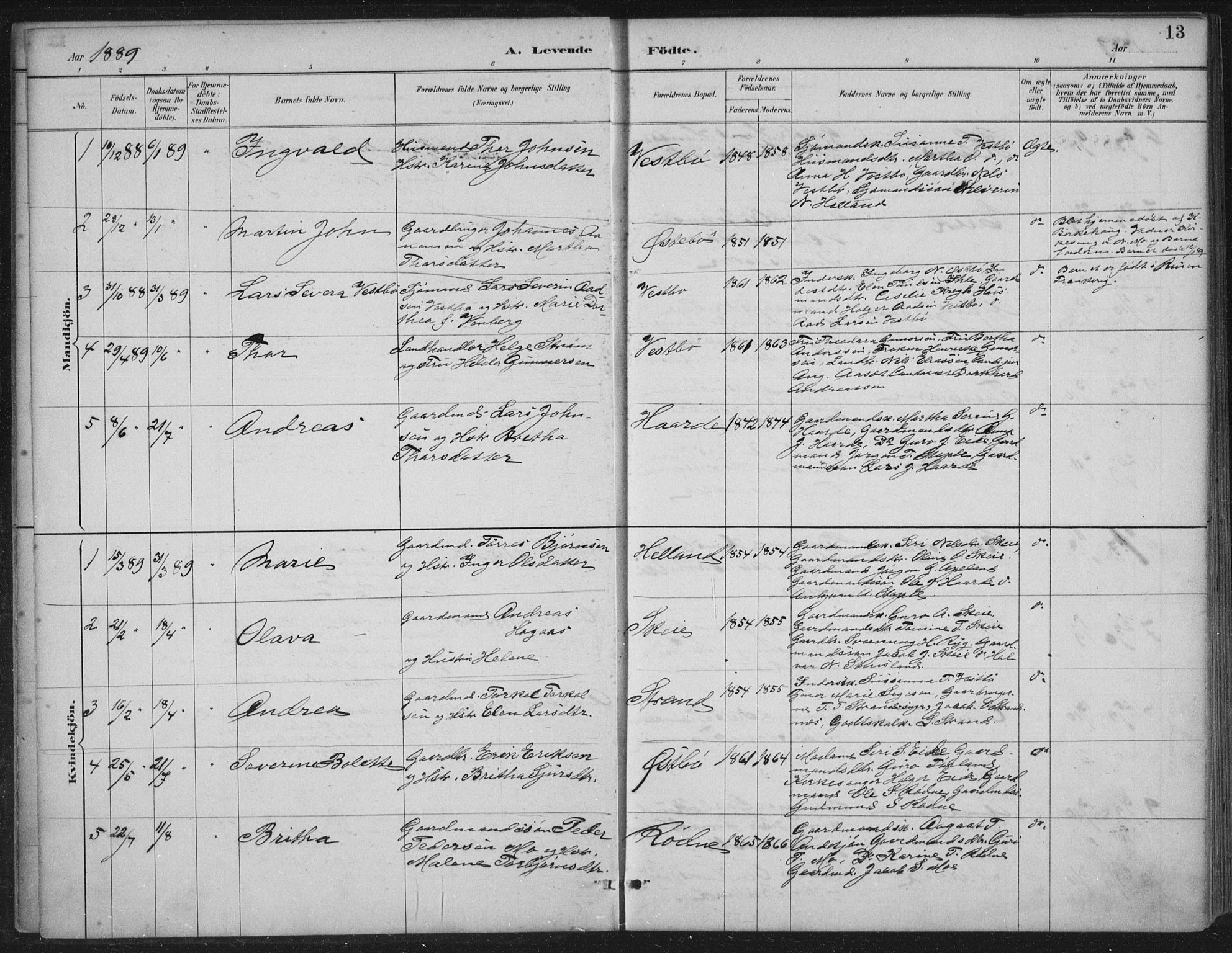 Vikedal sokneprestkontor, AV/SAST-A-101840/01/IV: Parish register (official) no. A 11, 1884-1933, p. 13