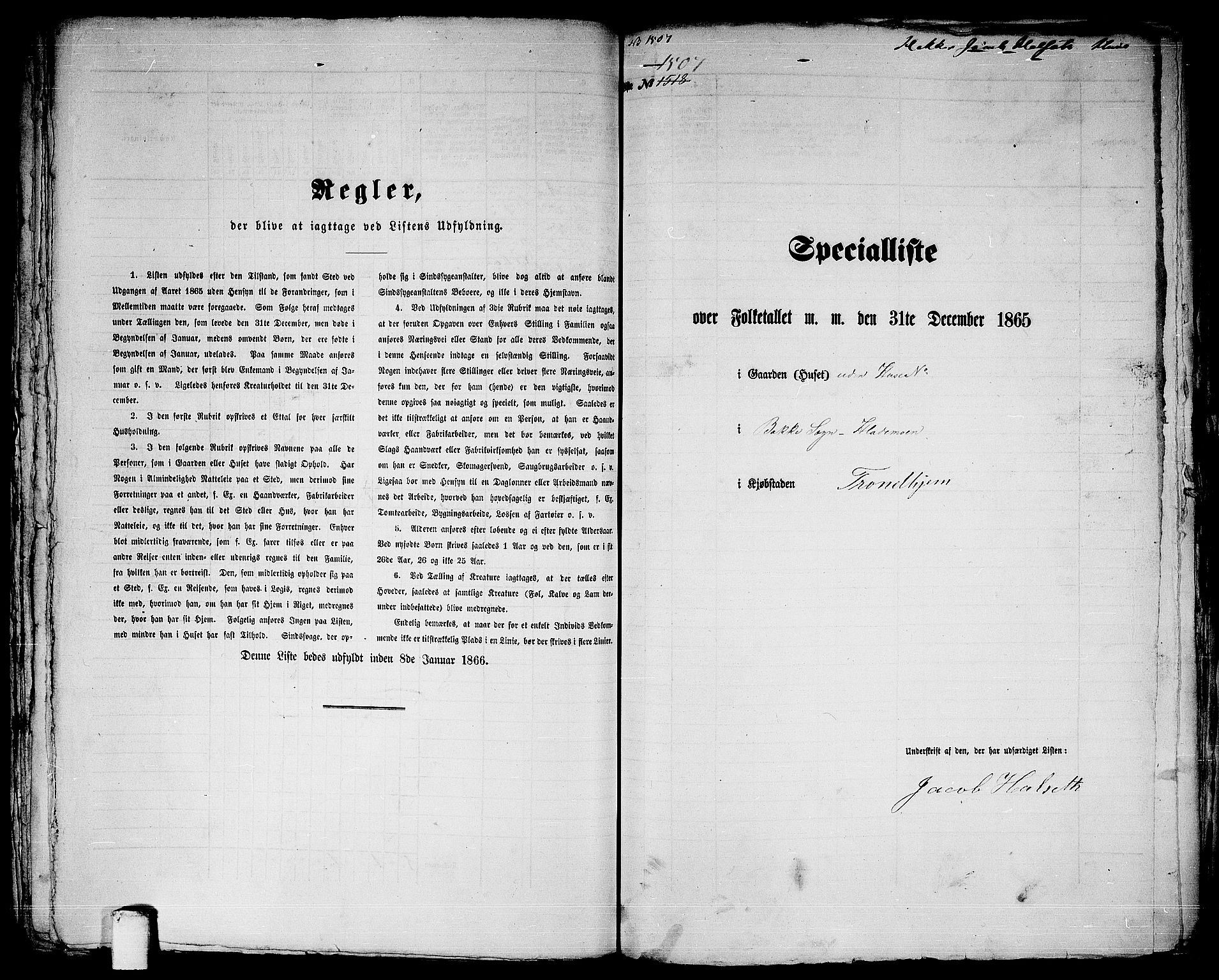 RA, 1865 census for Trondheim, 1865, p. 3116