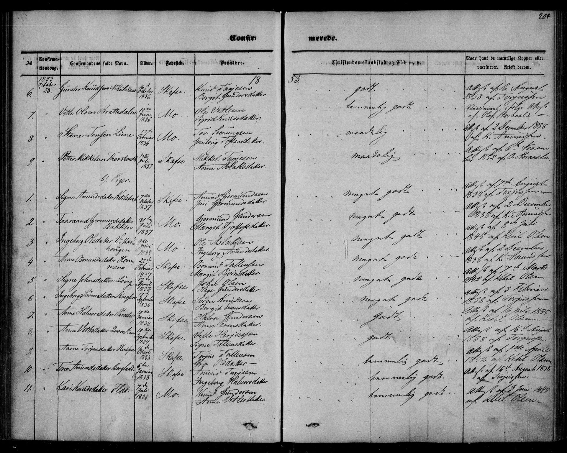 Mo kirkebøker, AV/SAKO-A-286/F/Fa/L0005: Parish register (official) no. I 5, 1844-1864, p. 204