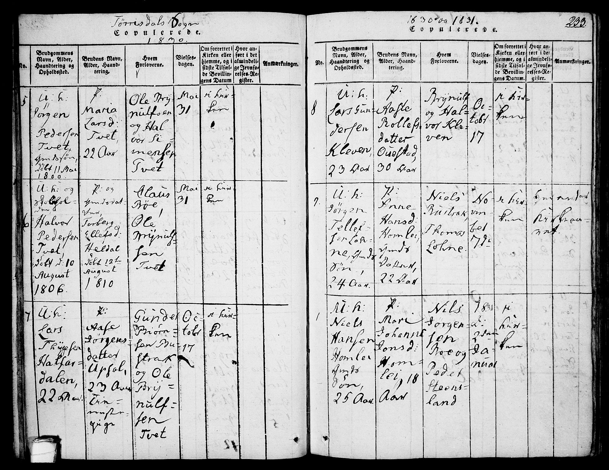 Drangedal kirkebøker, SAKO/A-258/F/Fa/L0005: Parish register (official) no. 5 /2, 1814-1831, p. 233