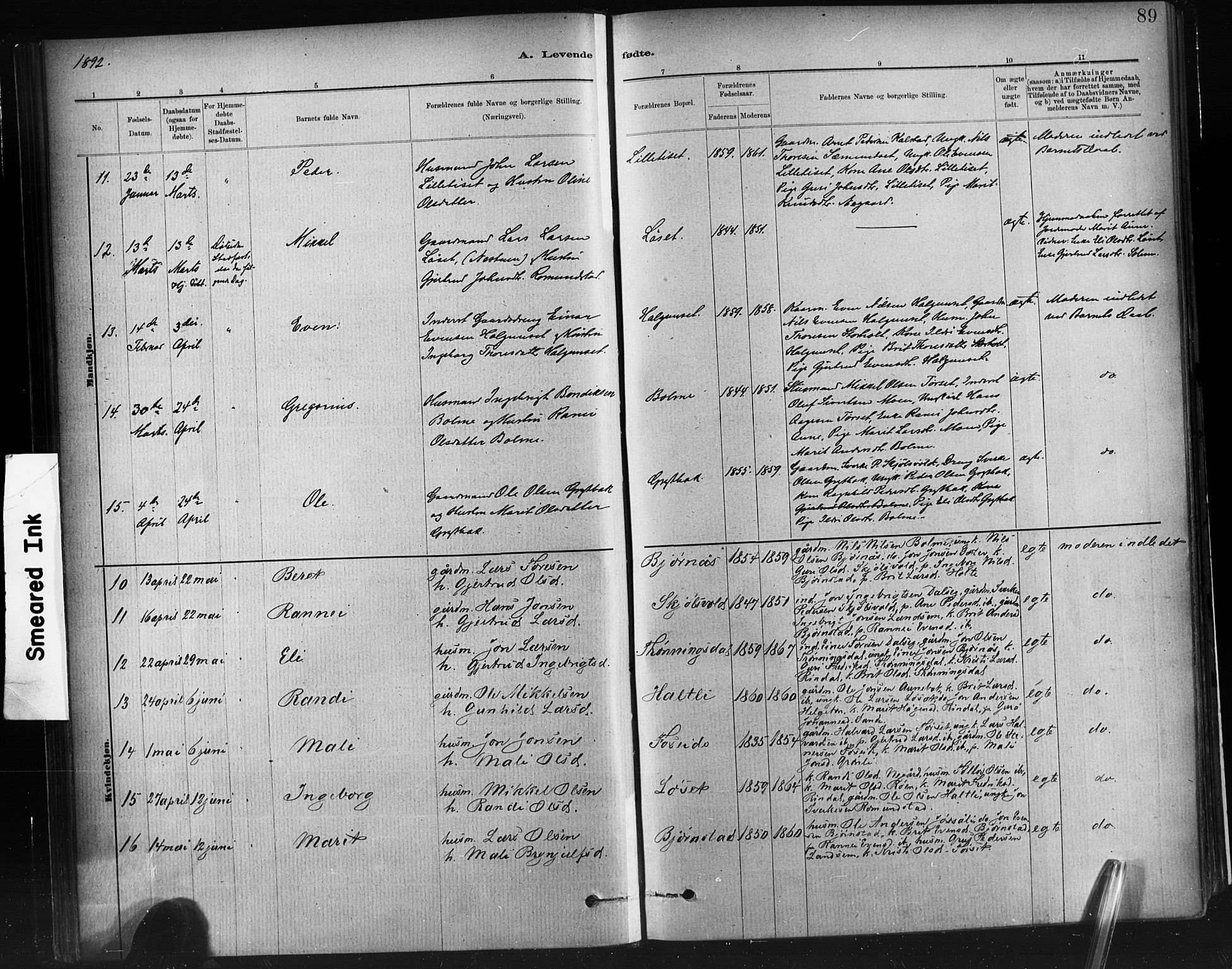 Ministerialprotokoller, klokkerbøker og fødselsregistre - Møre og Romsdal, AV/SAT-A-1454/598/L1069: Parish register (official) no. 598A03, 1882-1895, p. 89