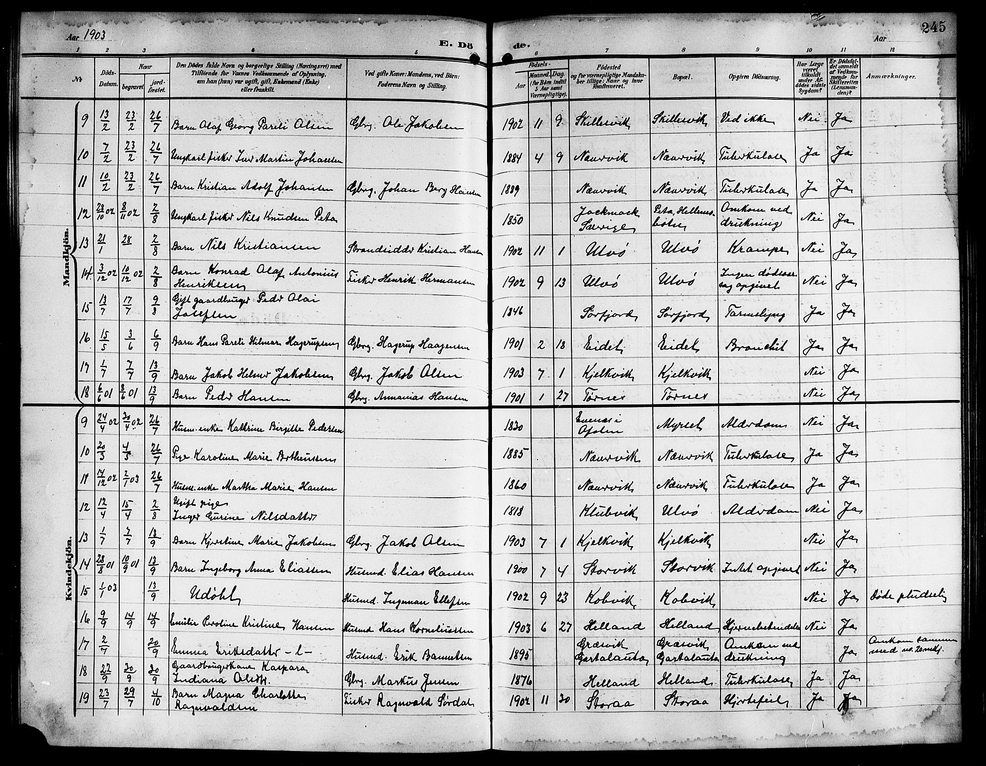 Ministerialprotokoller, klokkerbøker og fødselsregistre - Nordland, AV/SAT-A-1459/861/L0877: Parish register (copy) no. 861C03, 1903-1919, p. 245