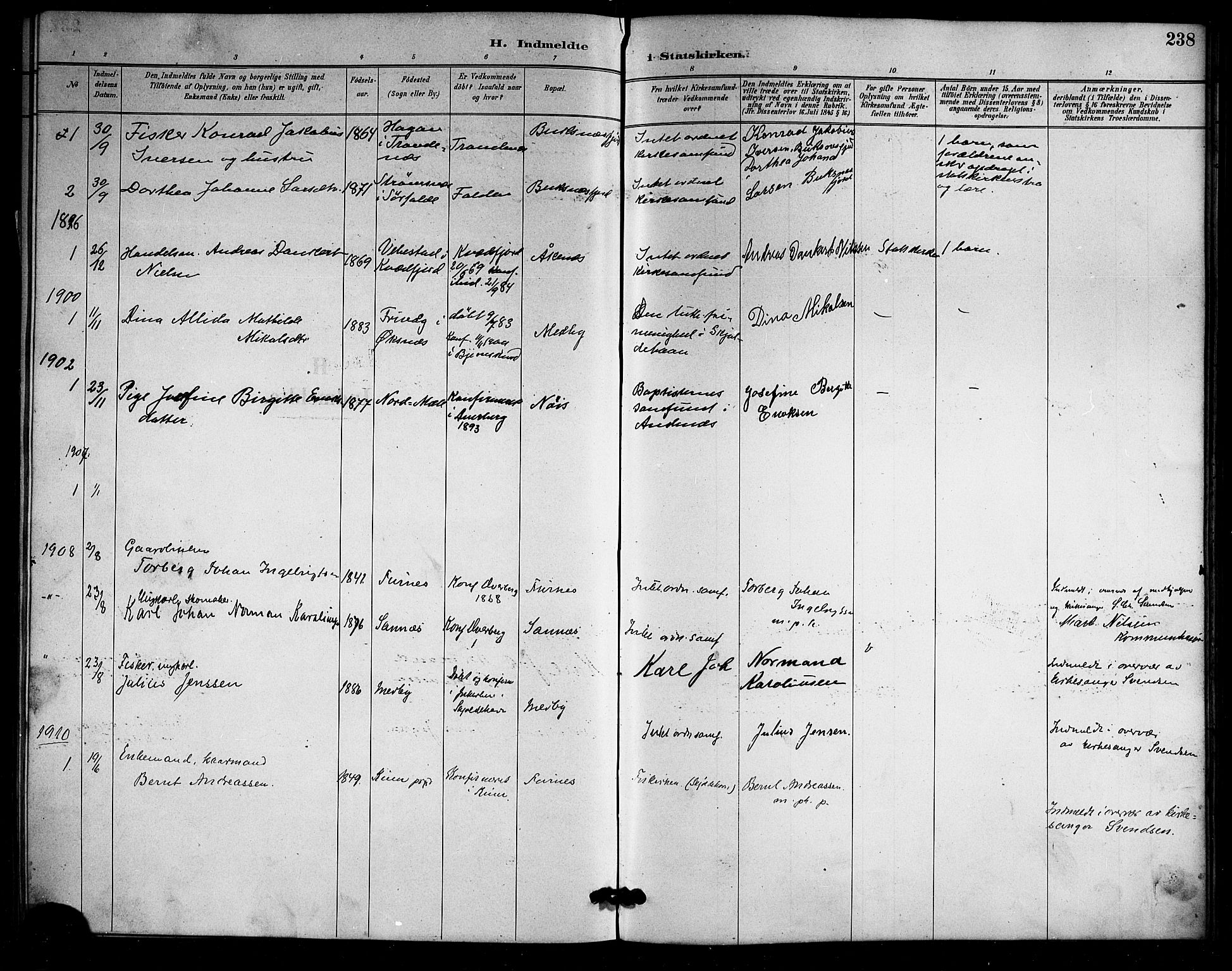 Ministerialprotokoller, klokkerbøker og fødselsregistre - Nordland, AV/SAT-A-1459/898/L1427: Parish register (copy) no. 898C02, 1887-1917, p. 238