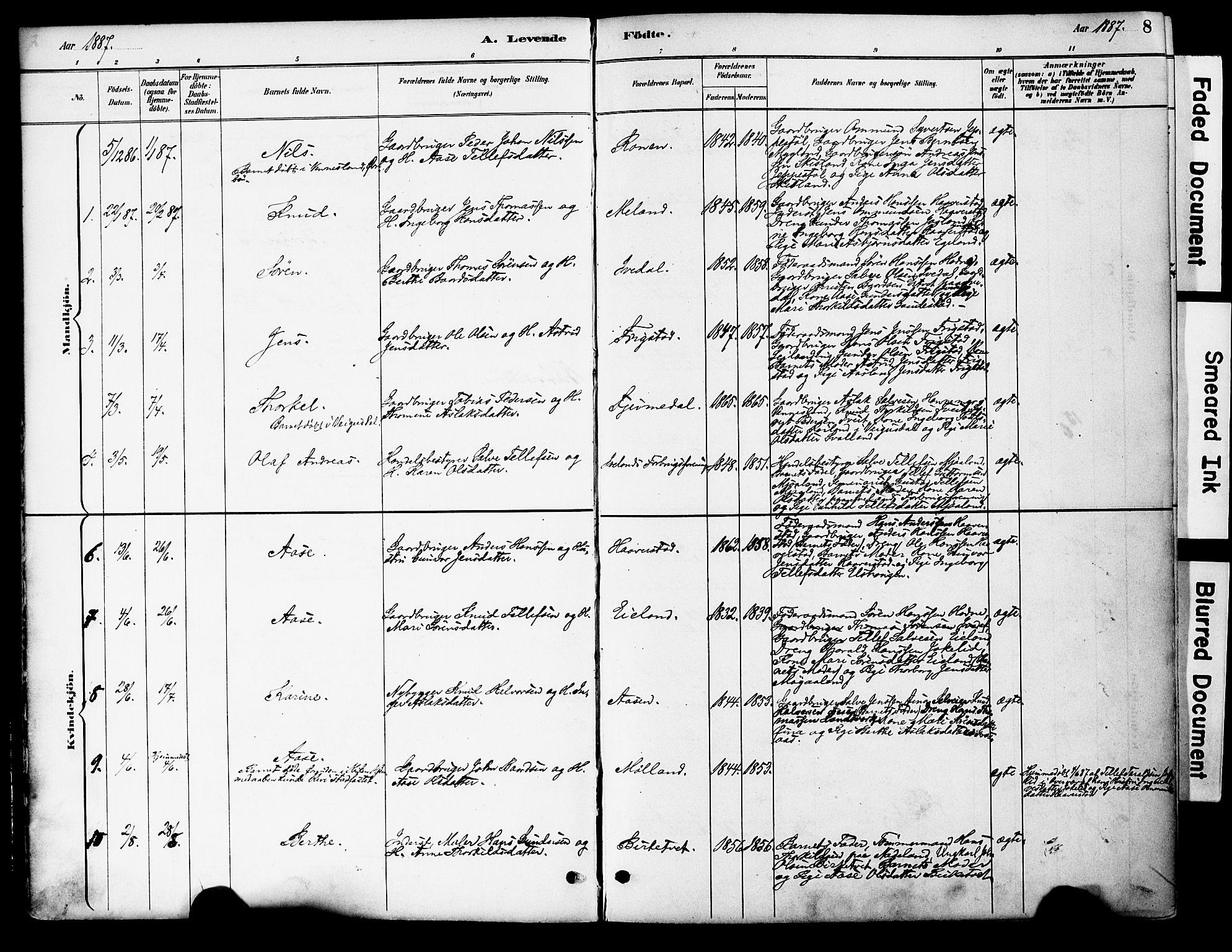 Evje sokneprestkontor, AV/SAK-1111-0008/F/Fa/Fac/L0003: Parish register (official) no. A 3, 1884-1909, p. 8