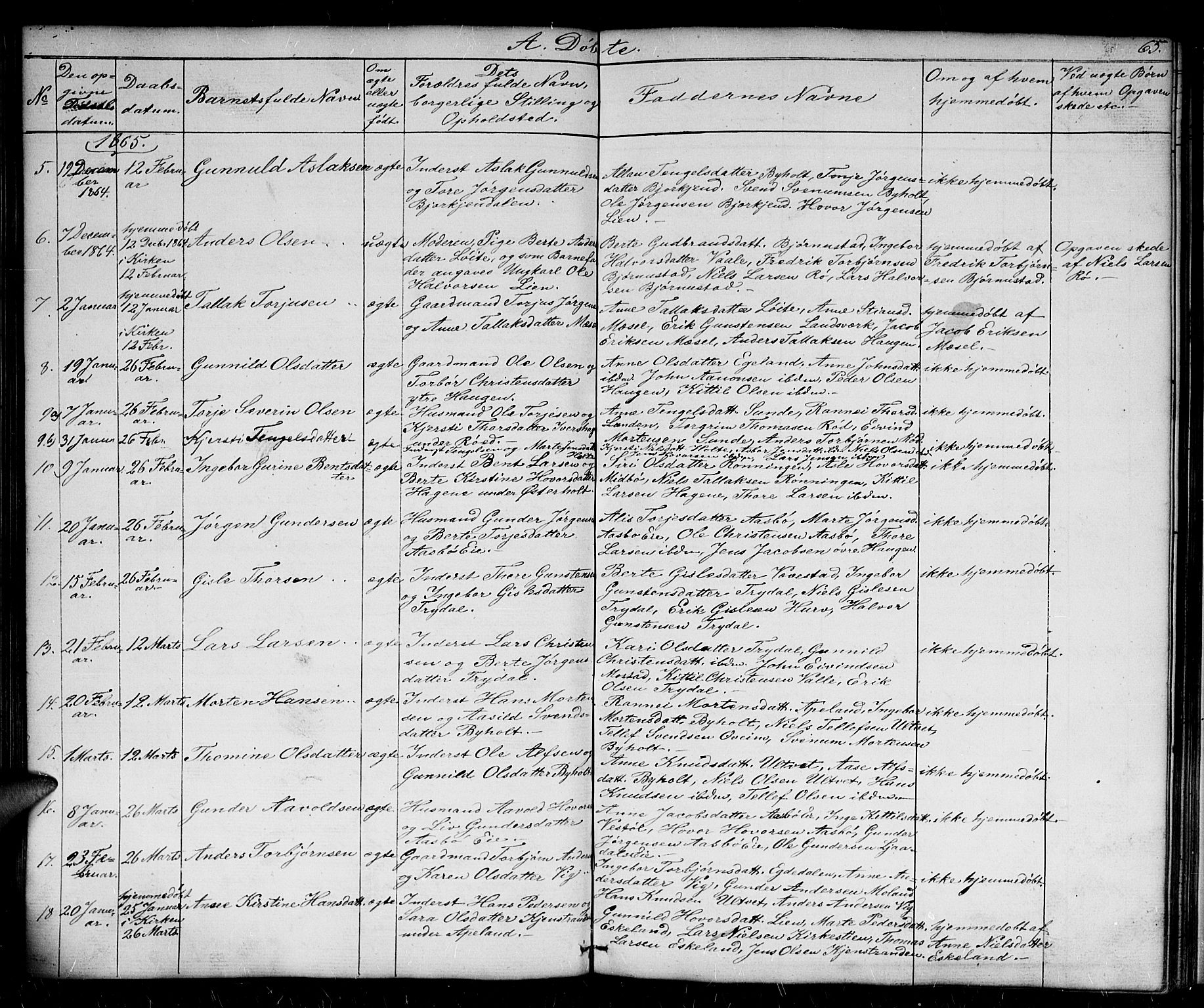 Gjerstad sokneprestkontor, AV/SAK-1111-0014/F/Fb/Fba/L0005: Parish register (copy) no. B 5, 1853-1867, p. 65