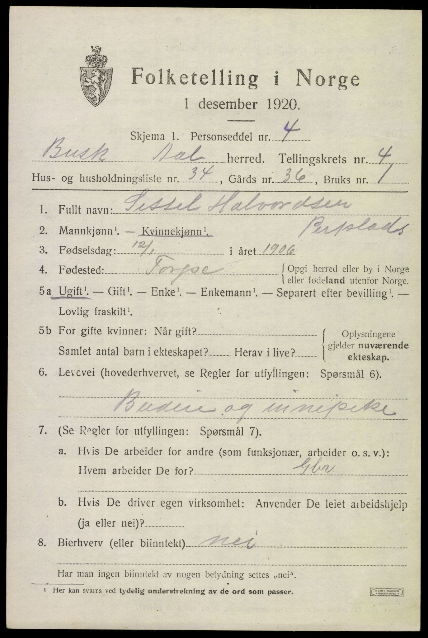 SAKO, 1920 census for Ål, 1920, p. 3384