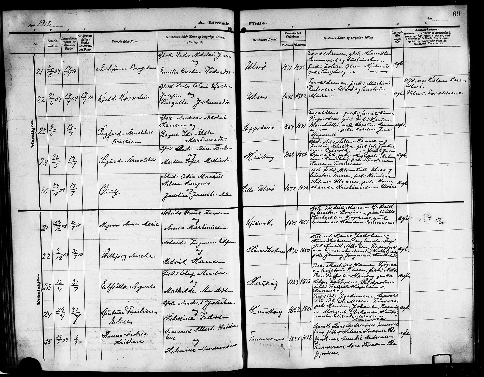 Ministerialprotokoller, klokkerbøker og fødselsregistre - Nordland, AV/SAT-A-1459/861/L0877: Parish register (copy) no. 861C03, 1903-1919, p. 69