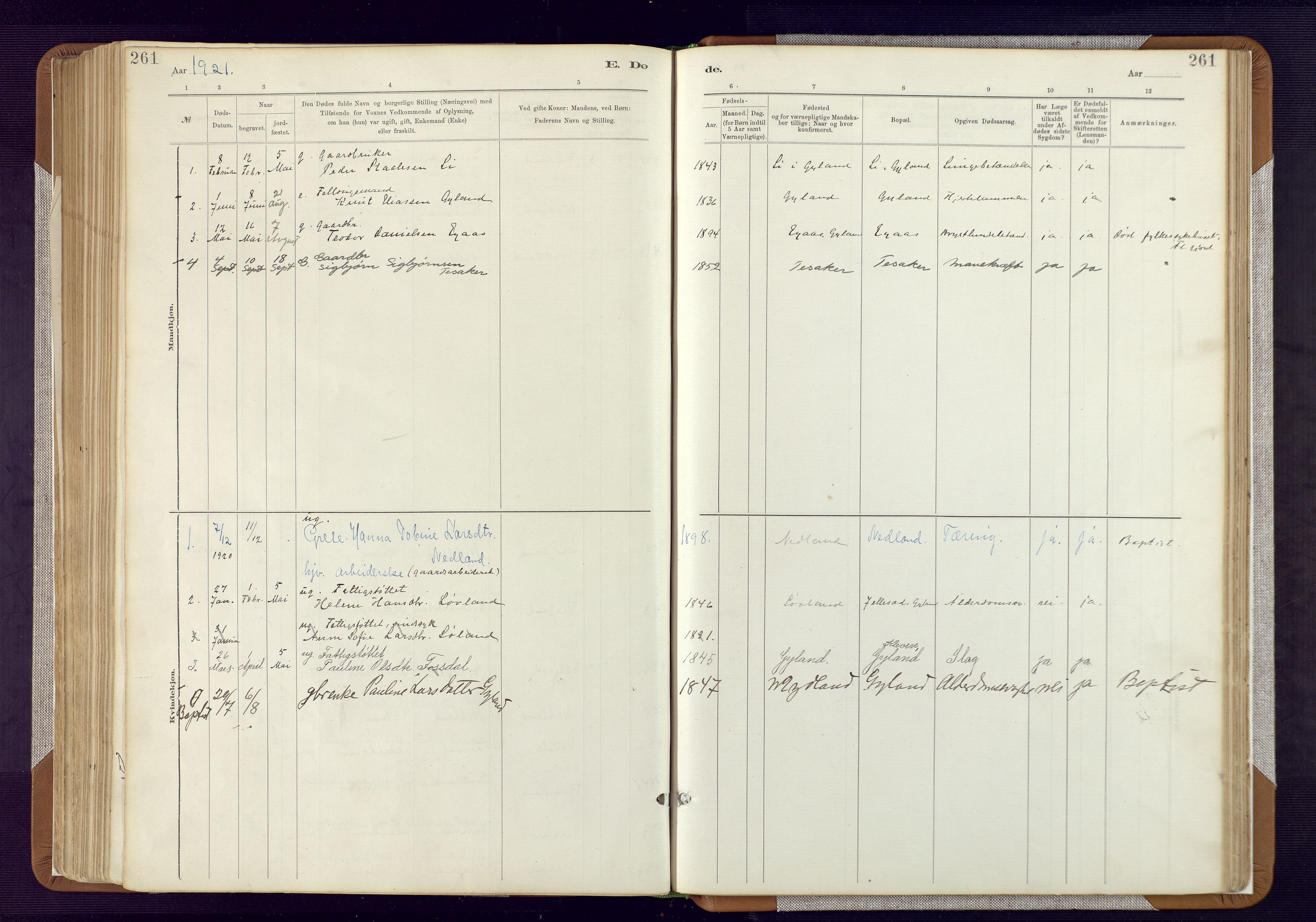 Bakke sokneprestkontor, SAK/1111-0002/F/Fa/Fab/L0003: Parish register (official) no. A 3, 1884-1921, p. 261