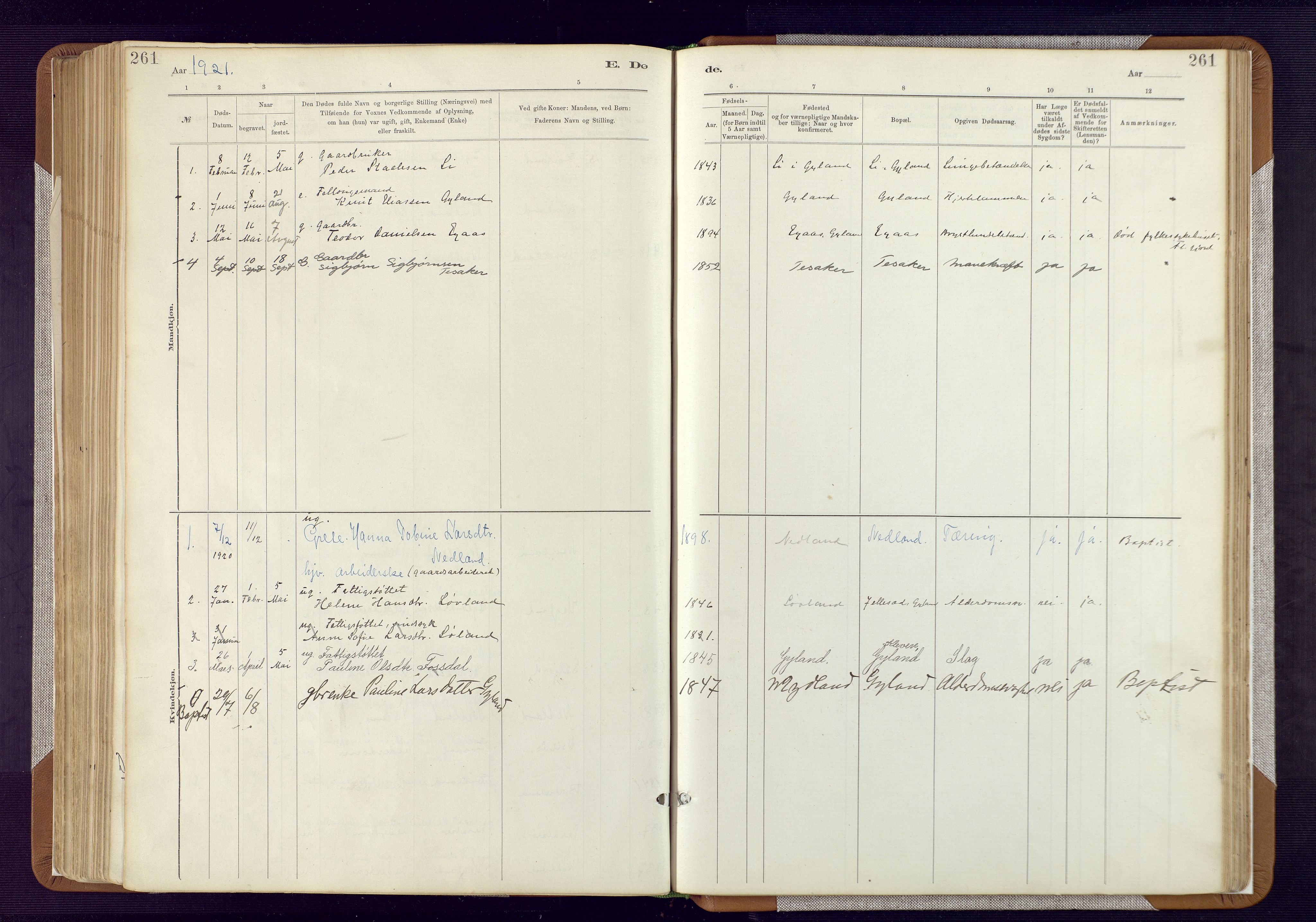 Bakke sokneprestkontor, AV/SAK-1111-0002/F/Fa/Fab/L0003: Parish register (official) no. A 3, 1884-1921, p. 261
