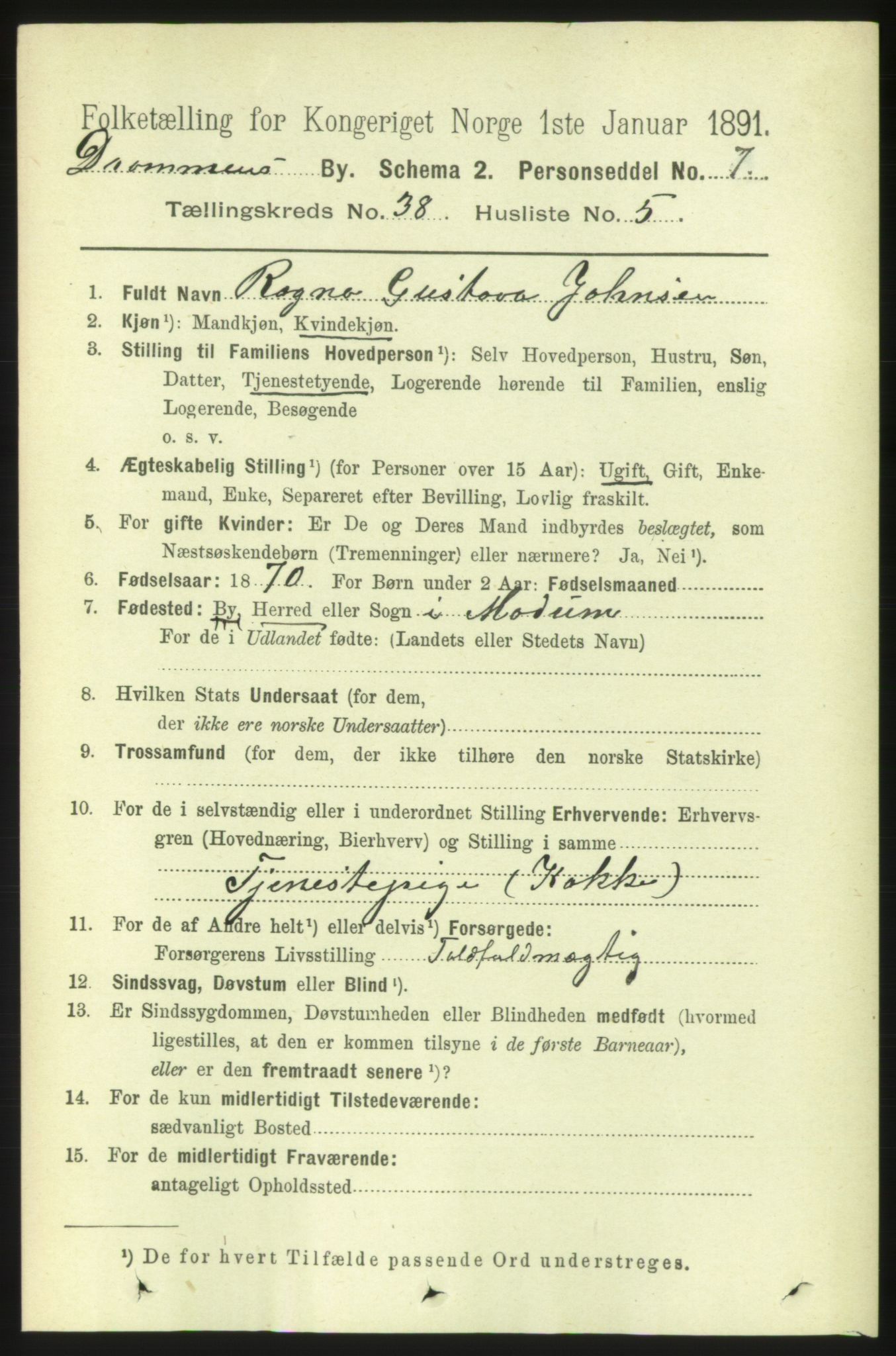 RA, 1891 census for 0602 Drammen, 1891, p. 22988