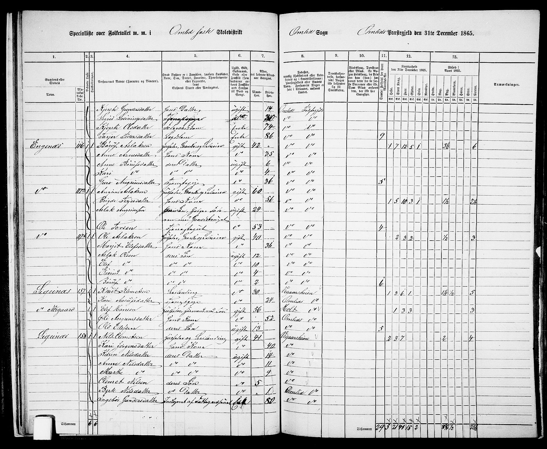 RA, 1865 census for Åmli, 1865, p. 22