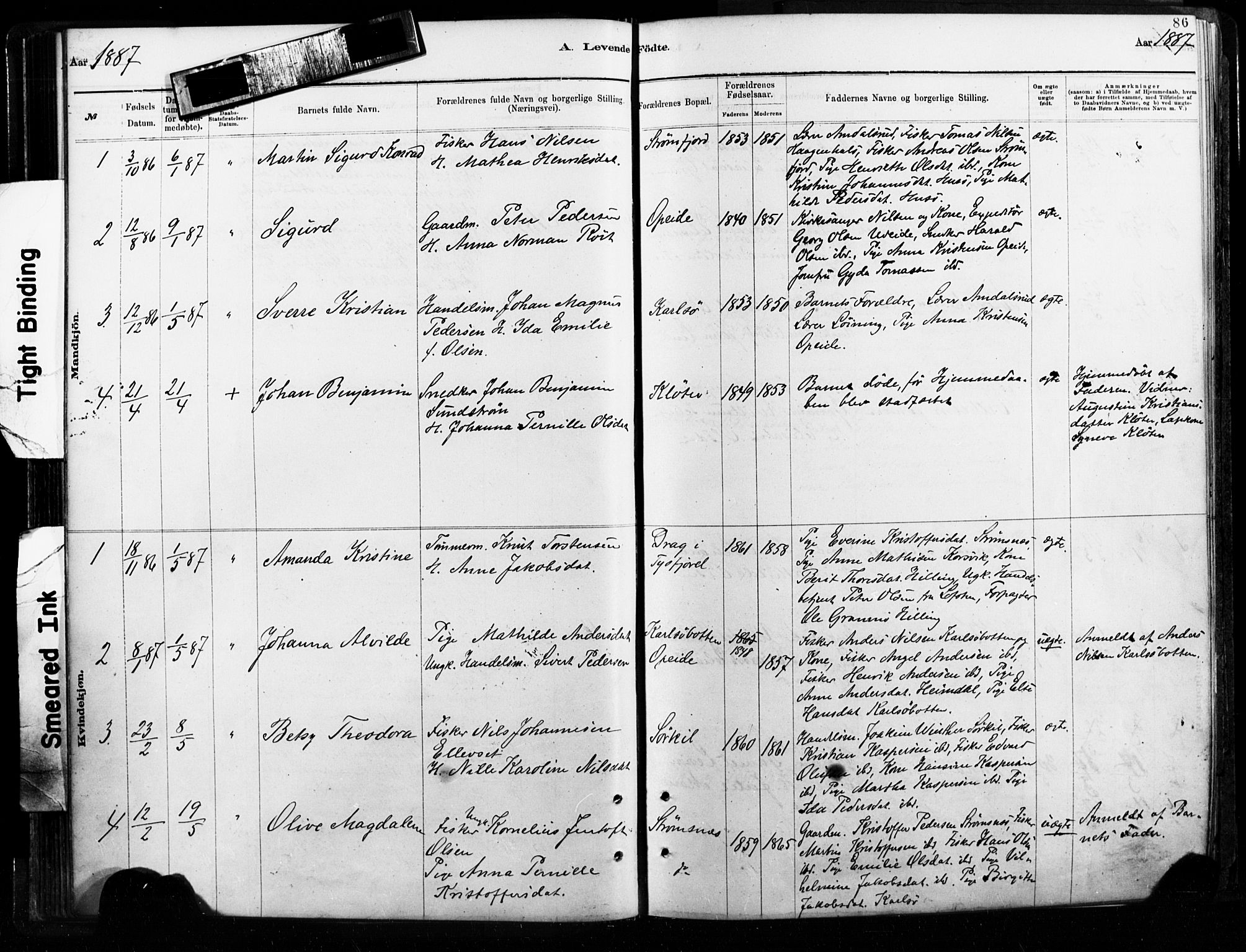 Ministerialprotokoller, klokkerbøker og fødselsregistre - Nordland, SAT/A-1459/859/L0846: Parish register (official) no. 859A06, 1878-1889, p. 86