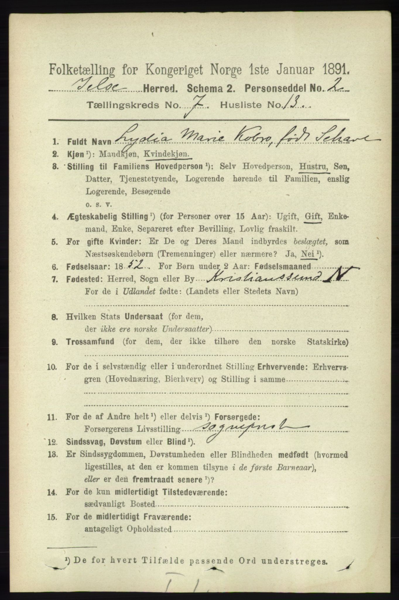 RA, 1891 census for 1138 Jelsa, 1891, p. 1616