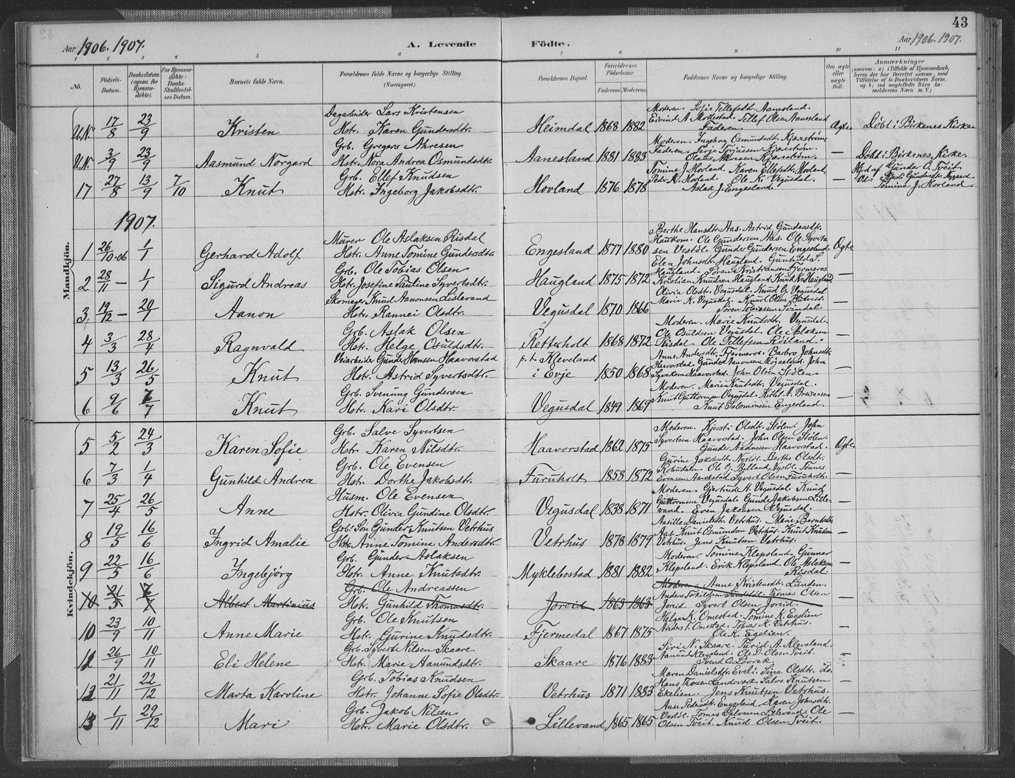 Herefoss sokneprestkontor, AV/SAK-1111-0019/F/Fa/Fab/L0004: Parish register (official) no. A 4, 1887-1909, p. 43