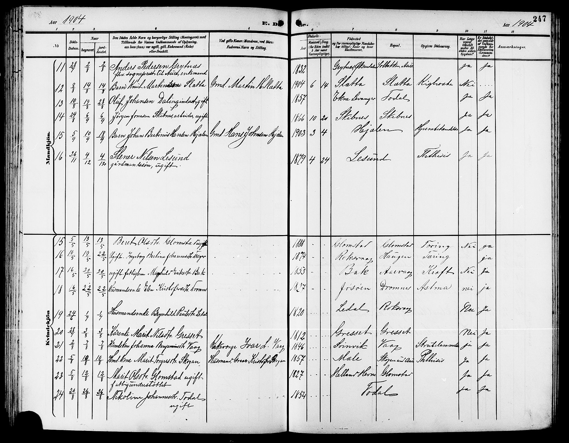 Ministerialprotokoller, klokkerbøker og fødselsregistre - Møre og Romsdal, AV/SAT-A-1454/578/L0910: Parish register (copy) no. 578C03, 1900-1921, p. 247