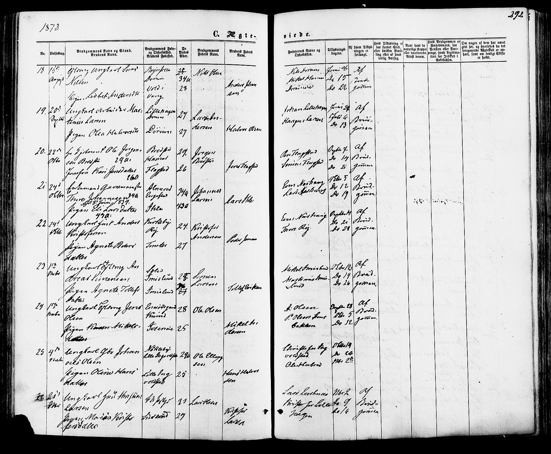 Vang prestekontor, Hedmark, AV/SAH-PREST-008/H/Ha/Haa/L0015: Parish register (official) no. 15, 1871-1885, p. 292