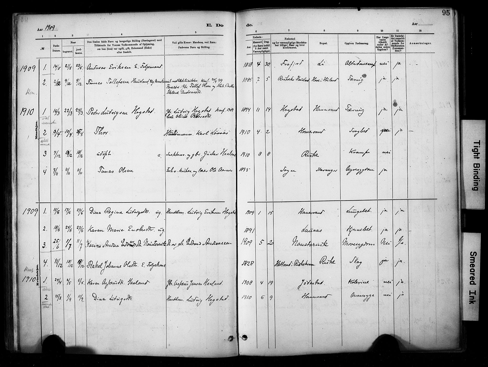 Hetland sokneprestkontor, SAST/A-101826/30/30BA/L0010: Parish register (official) no. A 10, 1882-1925, p. 95