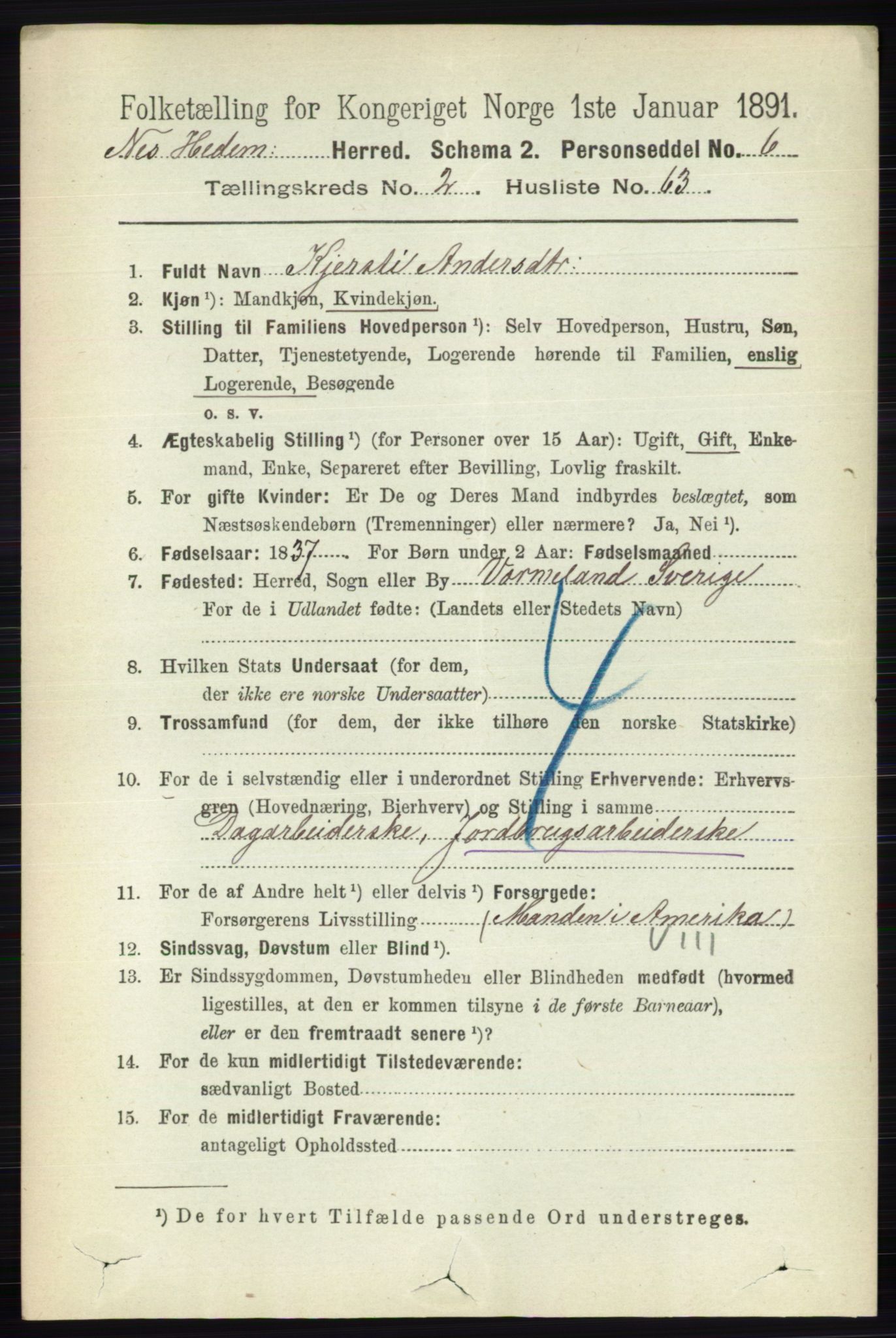 RA, 1891 census for 0411 Nes, 1891, p. 1514