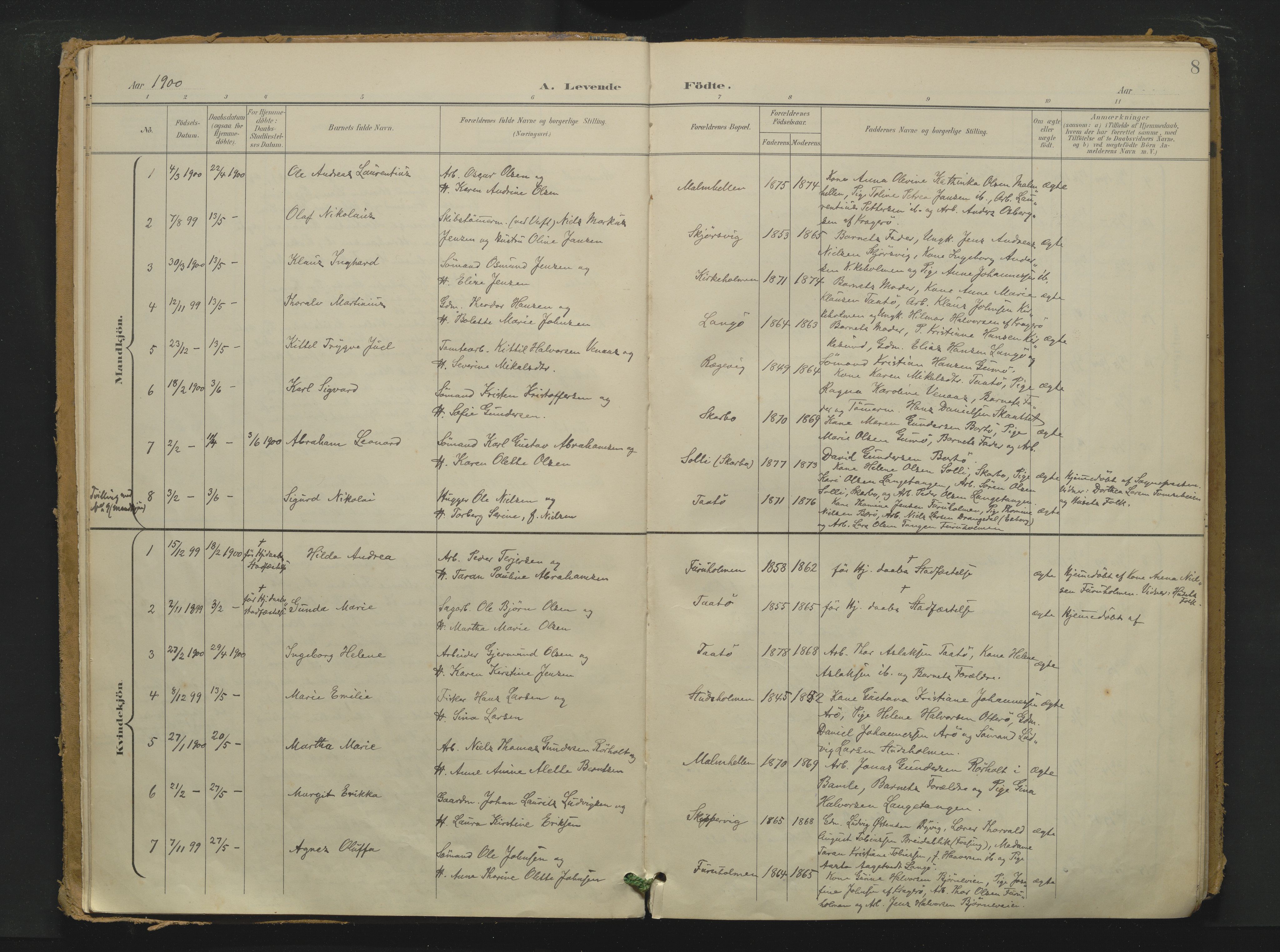 Skåtøy kirkebøker, AV/SAKO-A-304/F/Fa/L0006: Parish register (official) no. I 6, 1899-1919, p. 8